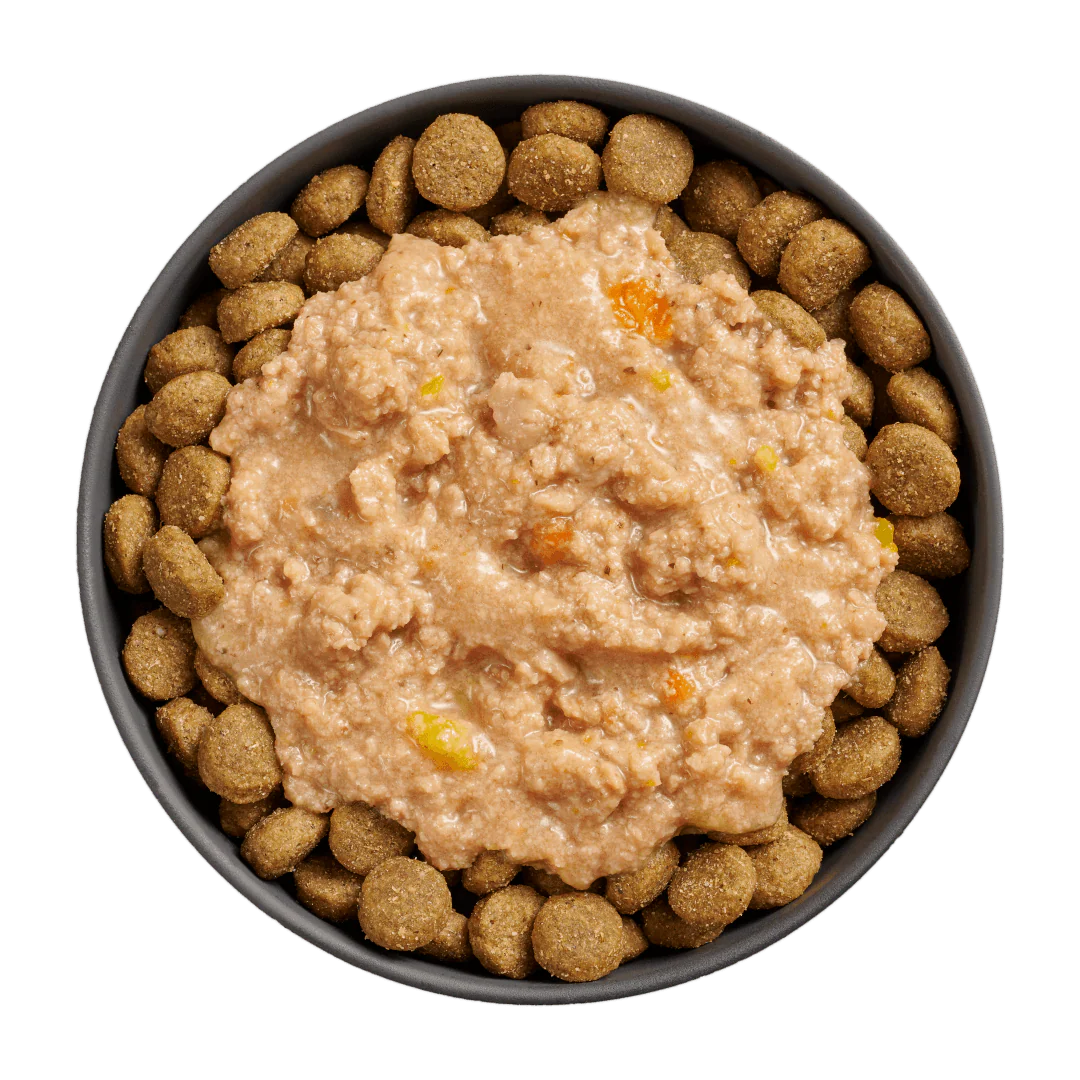 Go! Booster Tranquility Chicken, Salmon + Duck Stew for dogs - Image 3