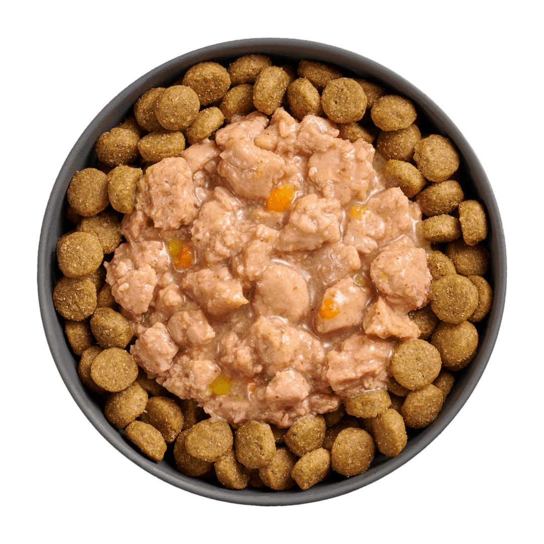 Go! Booster Tranquility Minced Chicken with gravy for dogs - Image 3