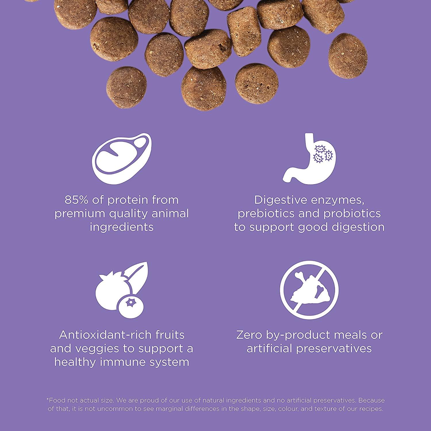 Go! Carnivore Grain-Free Chicken, Turkey + Duck Adult Senior Recipe for dogs - Image 3