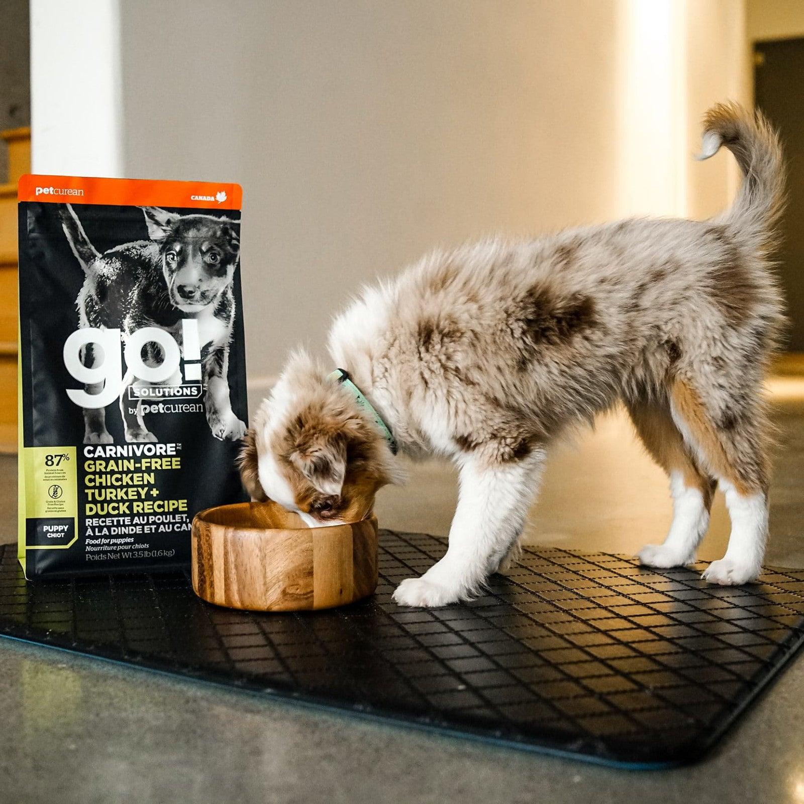 Go! Carnivore Grain-Free Chicken, Turkey + Duck Puppy Recipe for dogs - Image 11