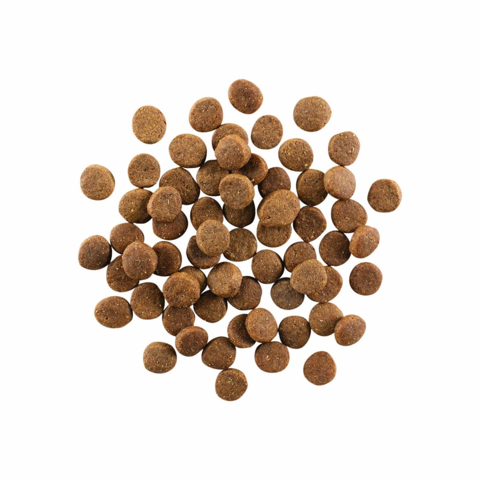 Go! Carnivore Grain-Free Chicken, Turkey + Duck Puppy Recipe for dogs - Image 12