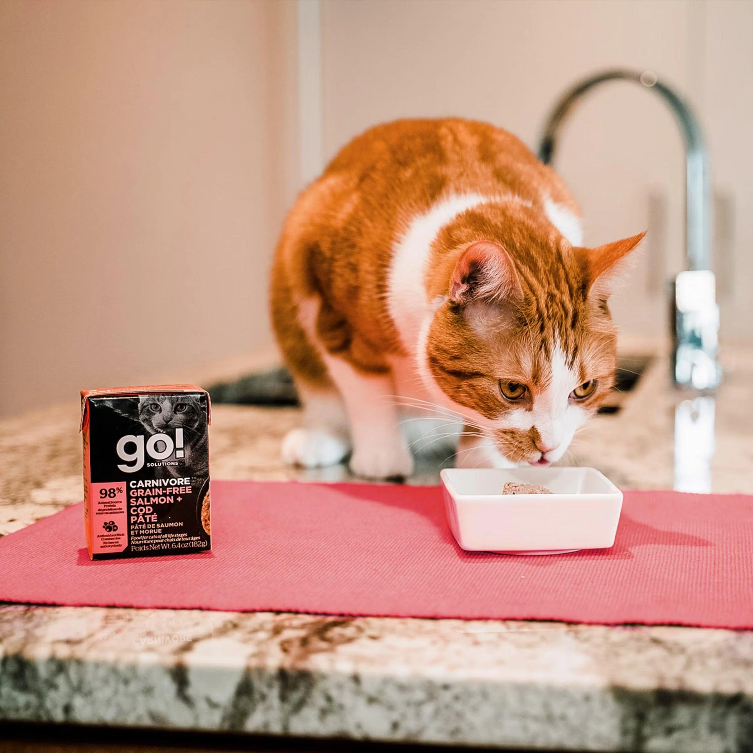 Go! Carnivore Grain Free Salmon + Cod Pâté for cats - Image 3