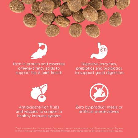 Go! Carnivore Grain Free Salmon + Cod Recipe for dogs - Image 3