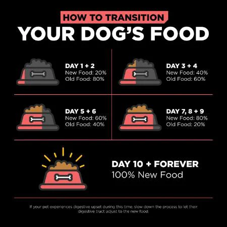 Go! Carnivore Grain Free Salmon + Cod Recipe for dogs - Image 6