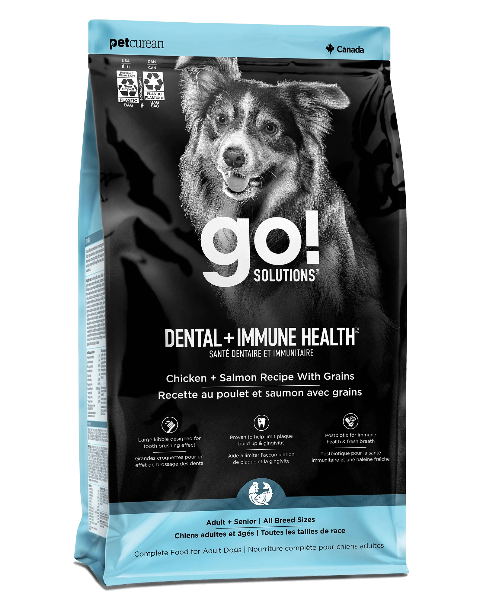 Go! Dental + Immune Health Chicken + Salmon Dog Food With Grains
