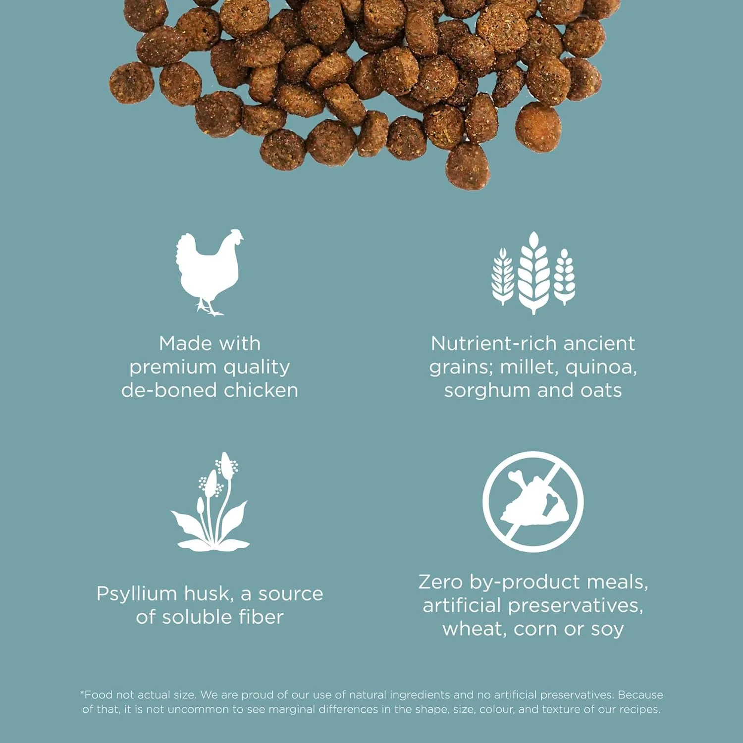Go! Digestion + Gut Health Chicken Recipe with Ancient Grains for cats - Image 5