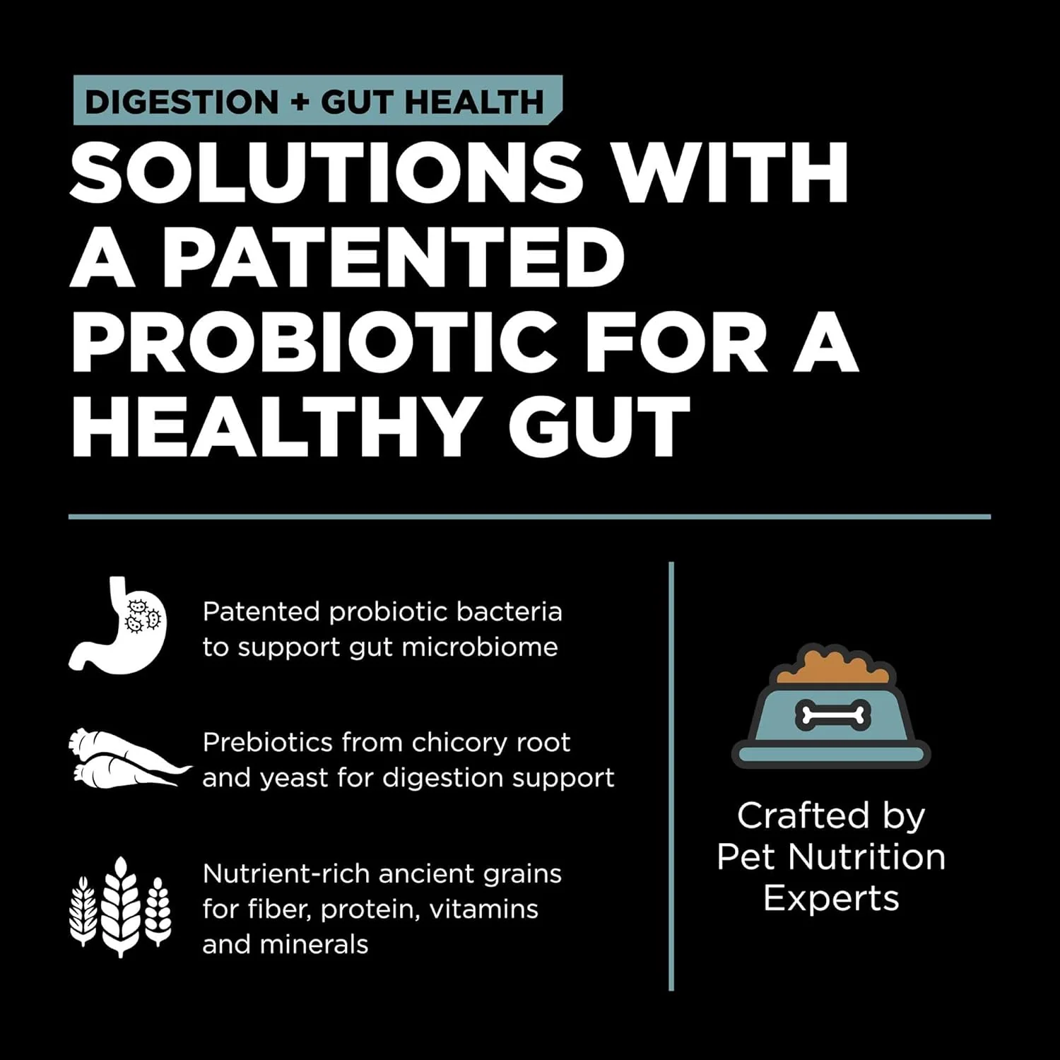 Go! Digestion + Gut Health Chicken Recipe with Ancient Grains for cats - Image 6