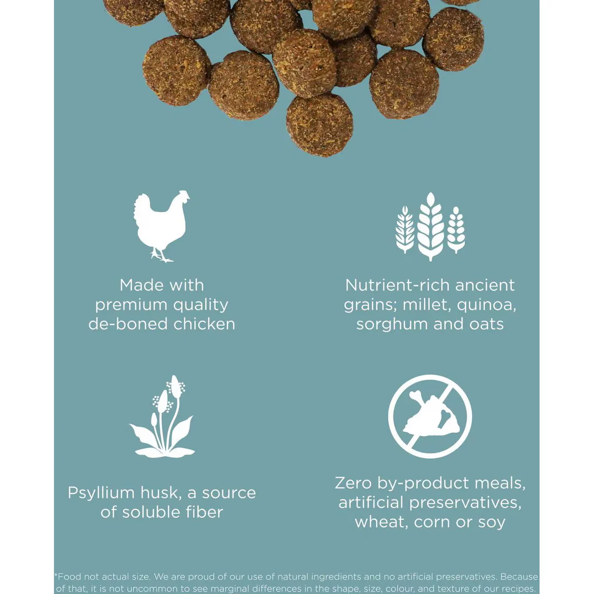 Go! Digestion + Gut Health Chicken Recipe with Ancient Grains for dogs - Image 4
