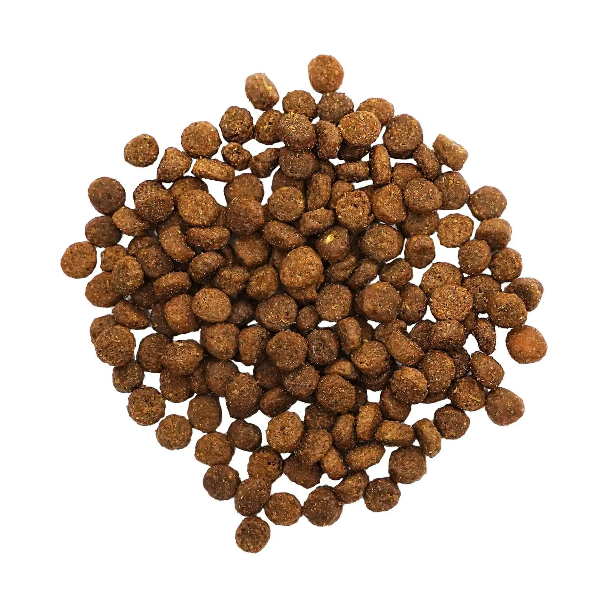Go! Digestion + Gut Health Salmon Recipe with Ancient Grains for cats - Image 2