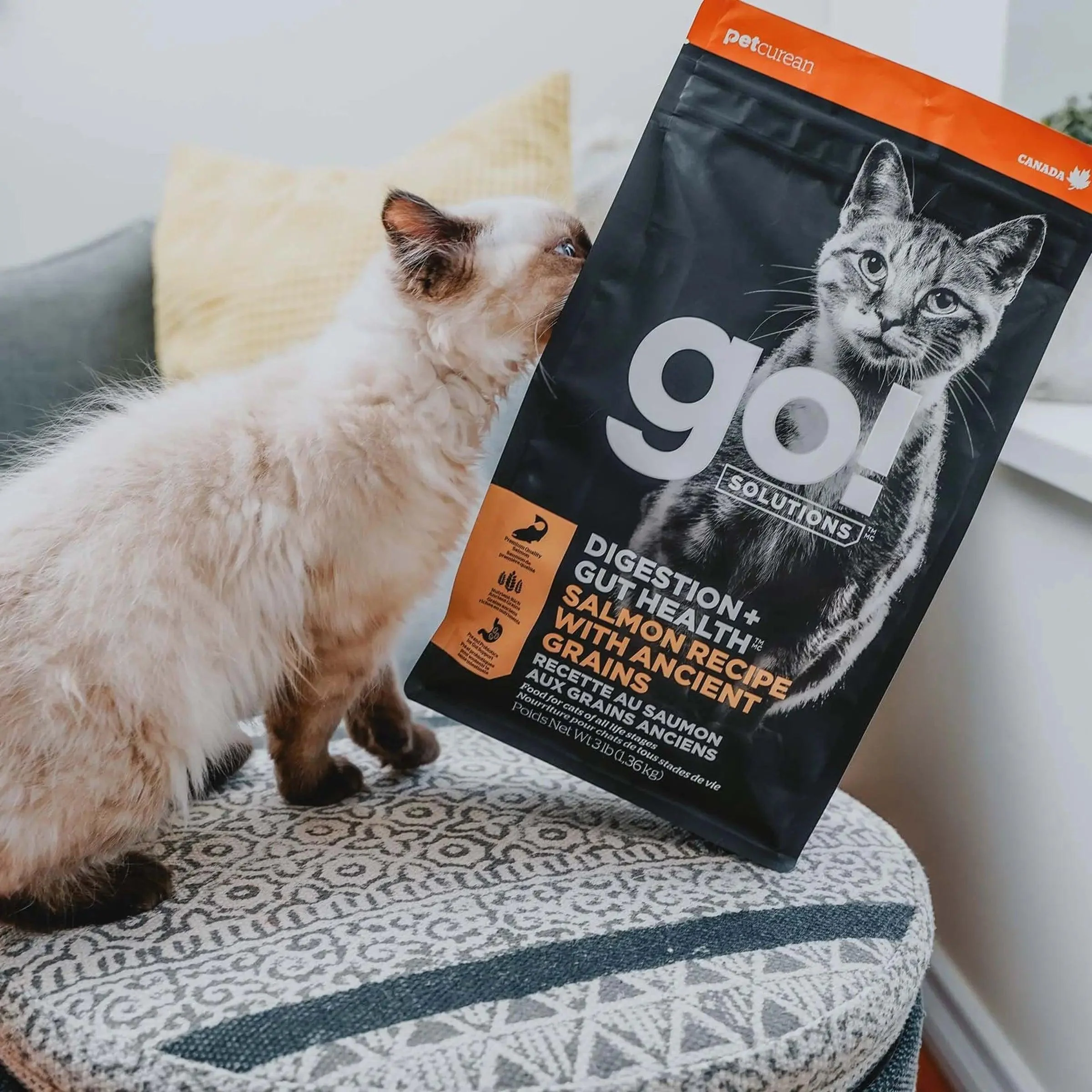Go! Digestion + Gut Health Salmon Recipe with Ancient Grains for cats - Image 3