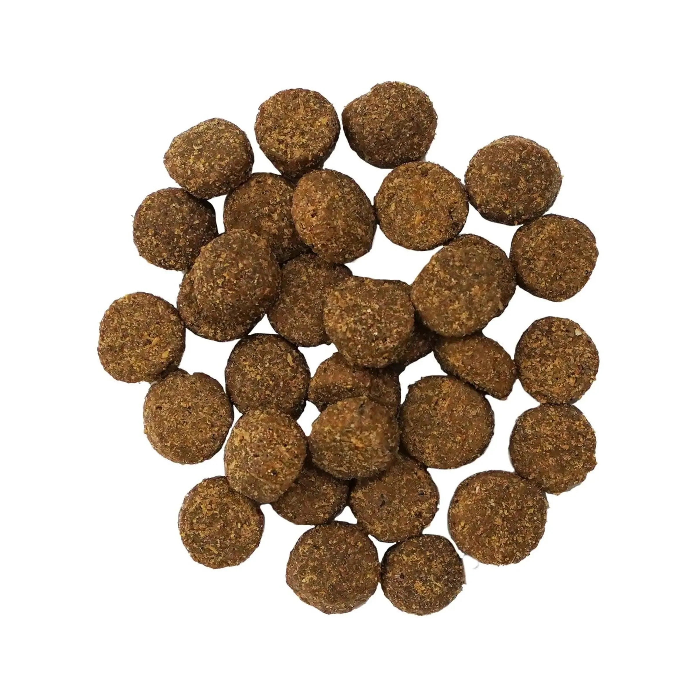 Go! Digestion + Gut Health Salmon Recipe with Ancient Grains for dogs - Image 3