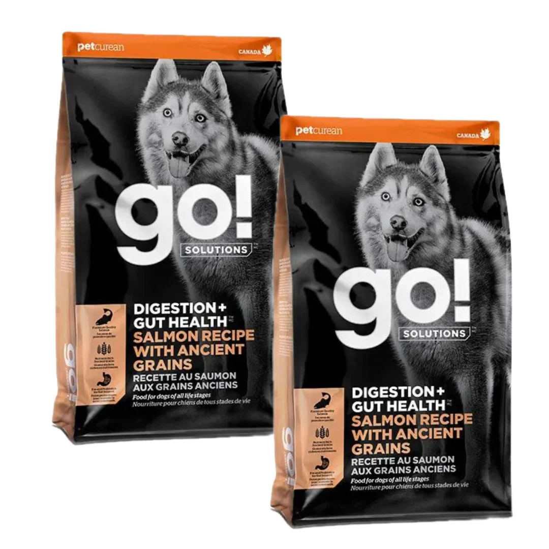 Go! Digestion + Gut Health Salmon Recipe with Ancient Grains for dogs - Image 5