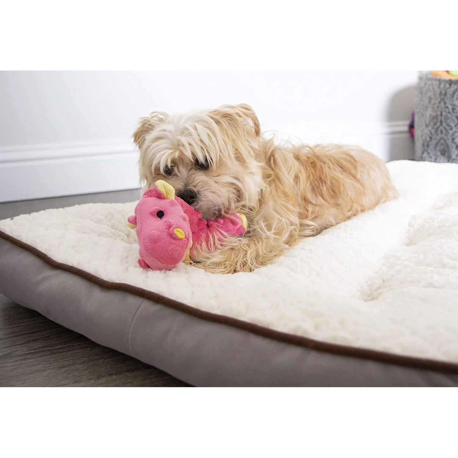 Go Dog Chew Guard Baby Dragon Coral - Image 2