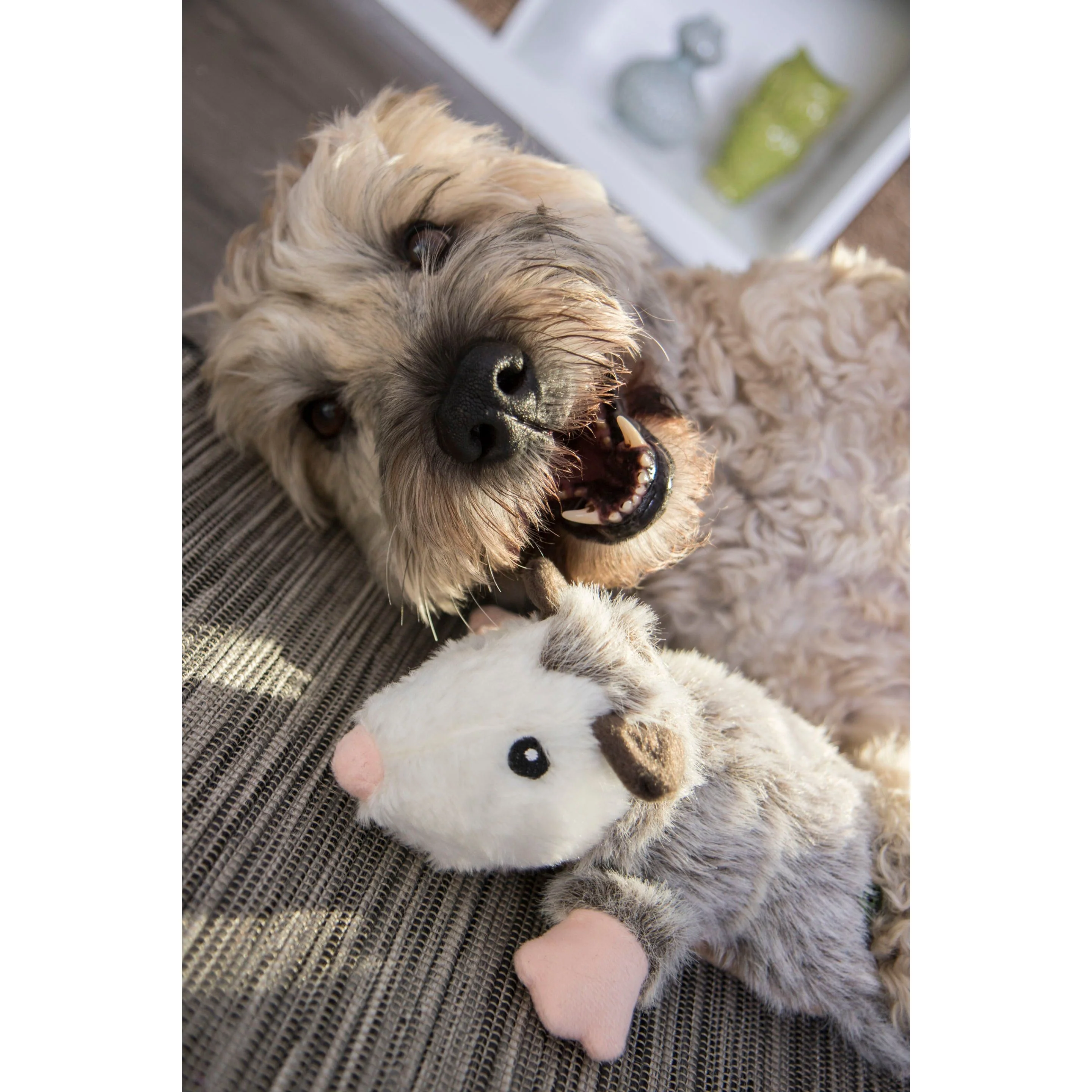 Go Dog! Flattie Opossum - Image 2