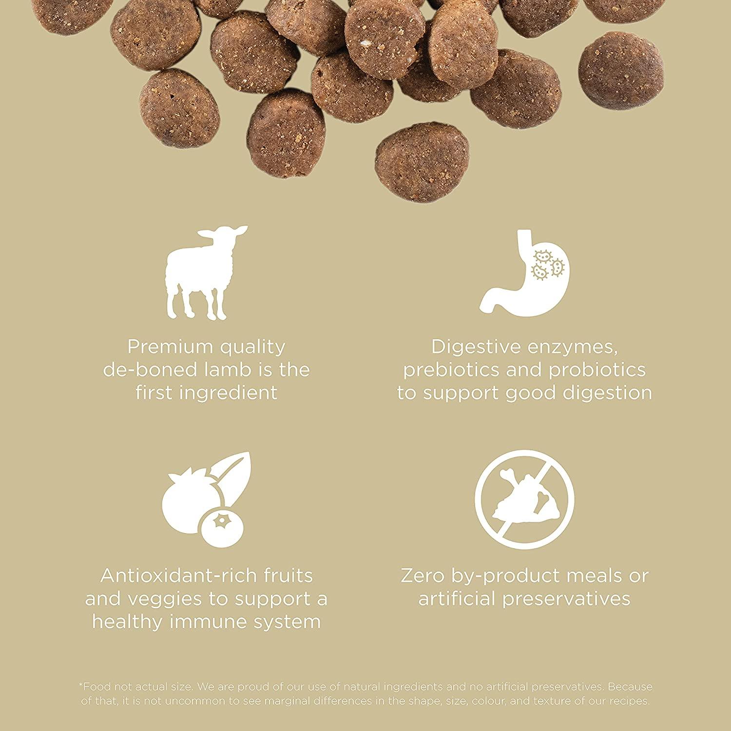 Go! Grain-Free Lamb + Wild Boar recipe for dogs - Image 3