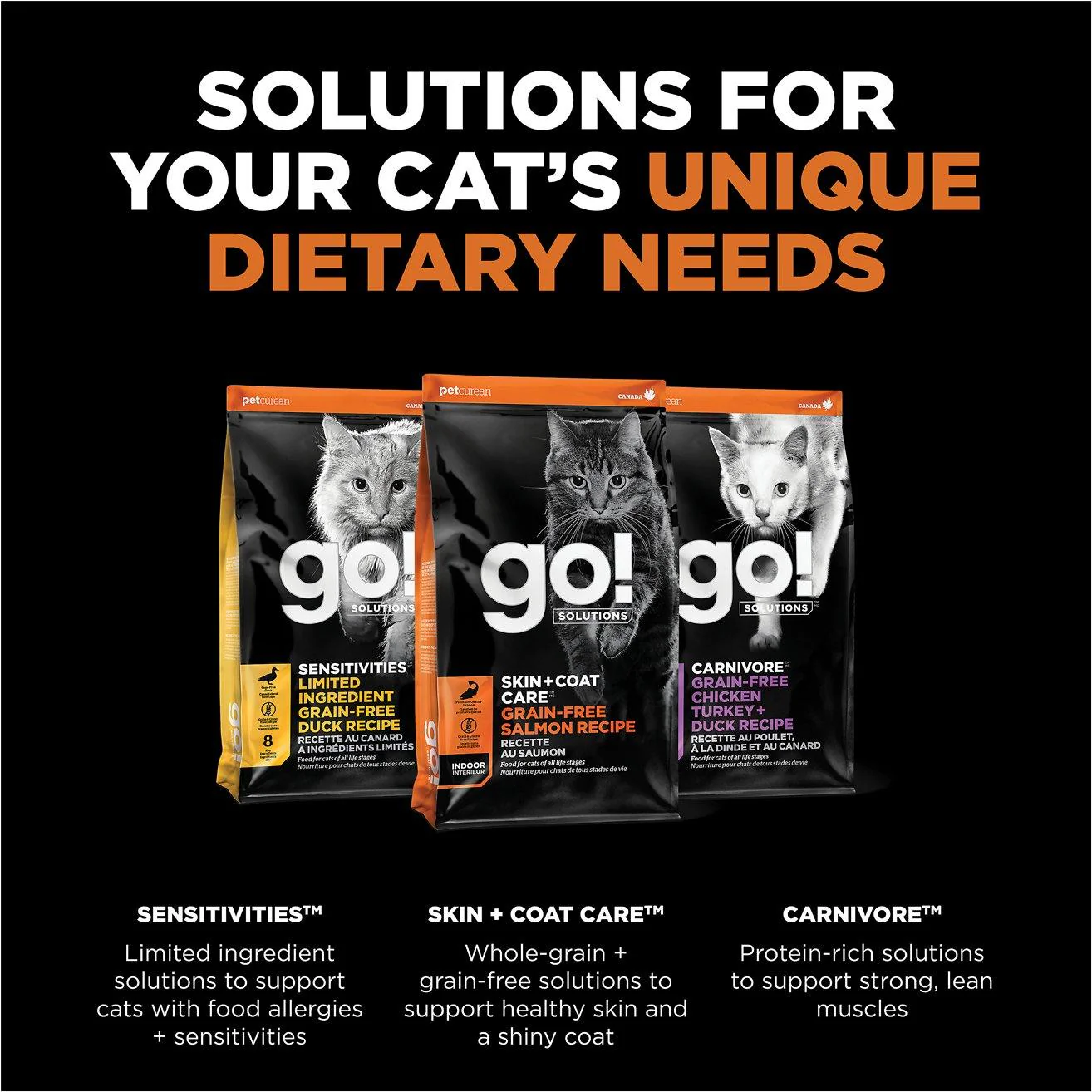 Go! Skin + Coat Care Grain Free Salmon Recipe for cats - Image 5