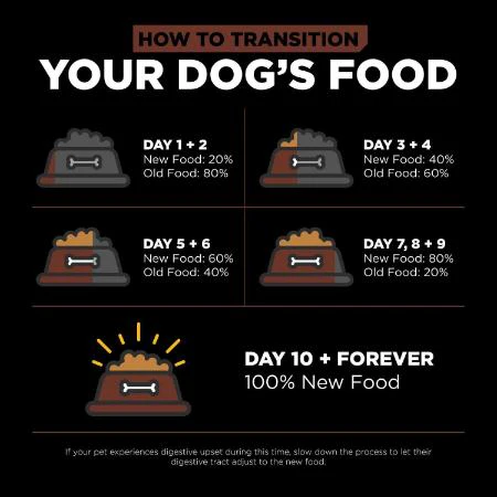 Go! Skin + Coat Care Large Breed Puppy Salmon Recipe With Grains for dogs - Image 5