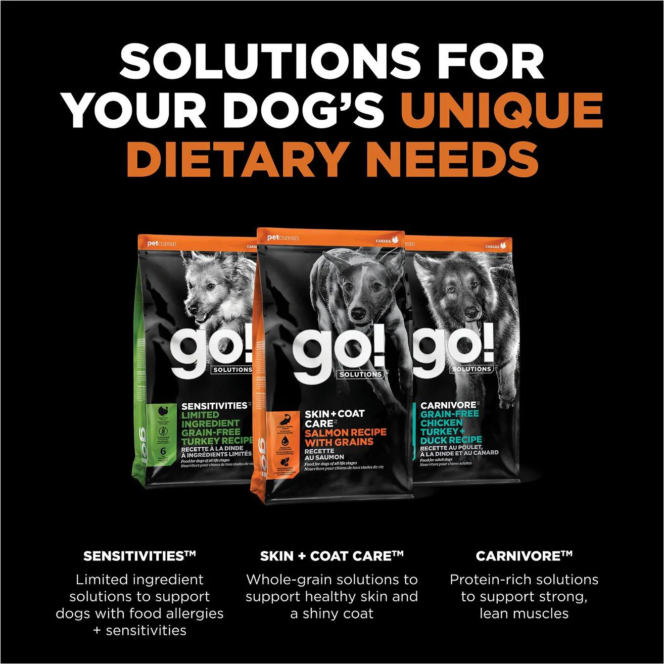Go! Skin + Coat Care Salmon Recipe With Grains for dogs - Image 6