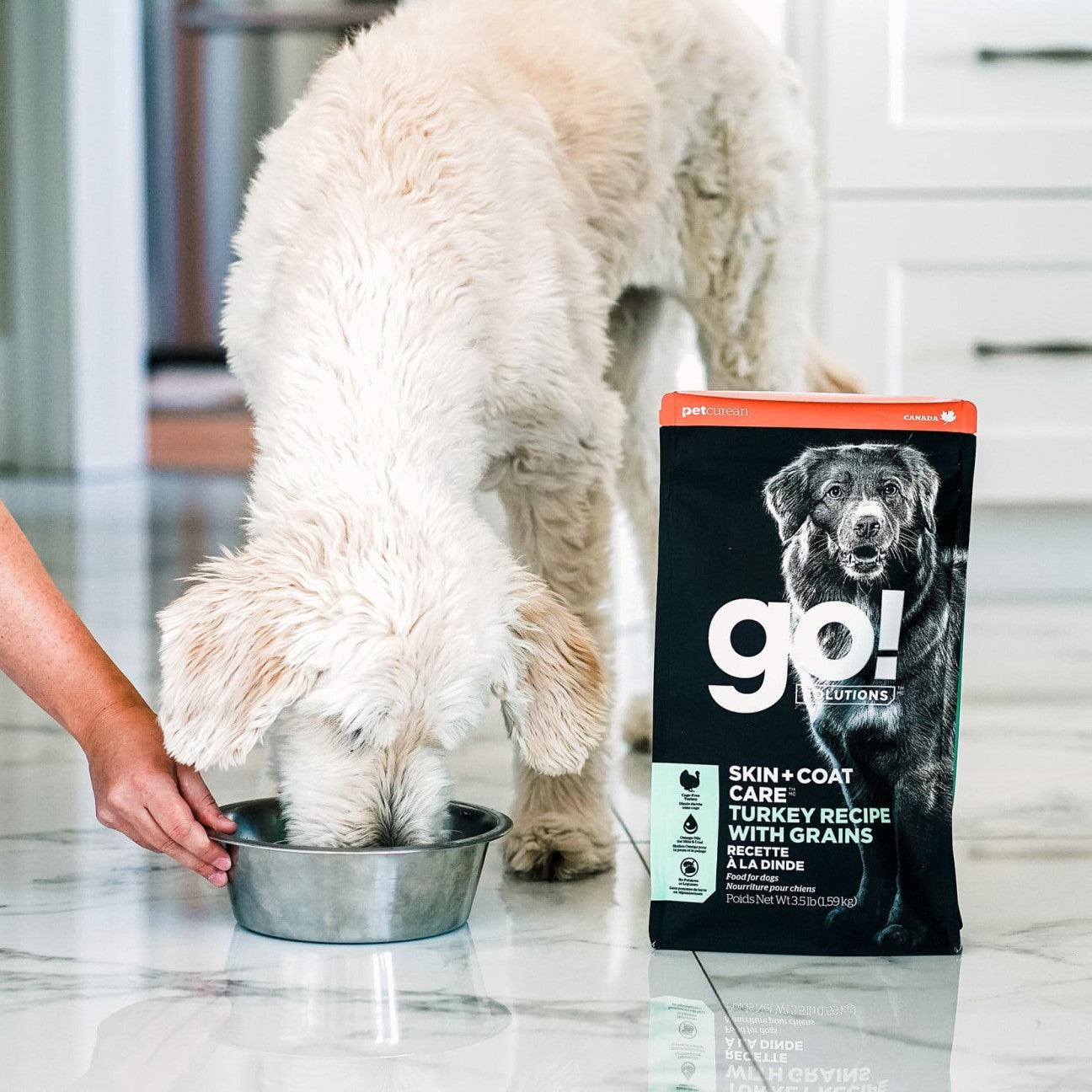 Go! Skin + Coat Care Turkey Recipe With Grains for dogs - Image 10