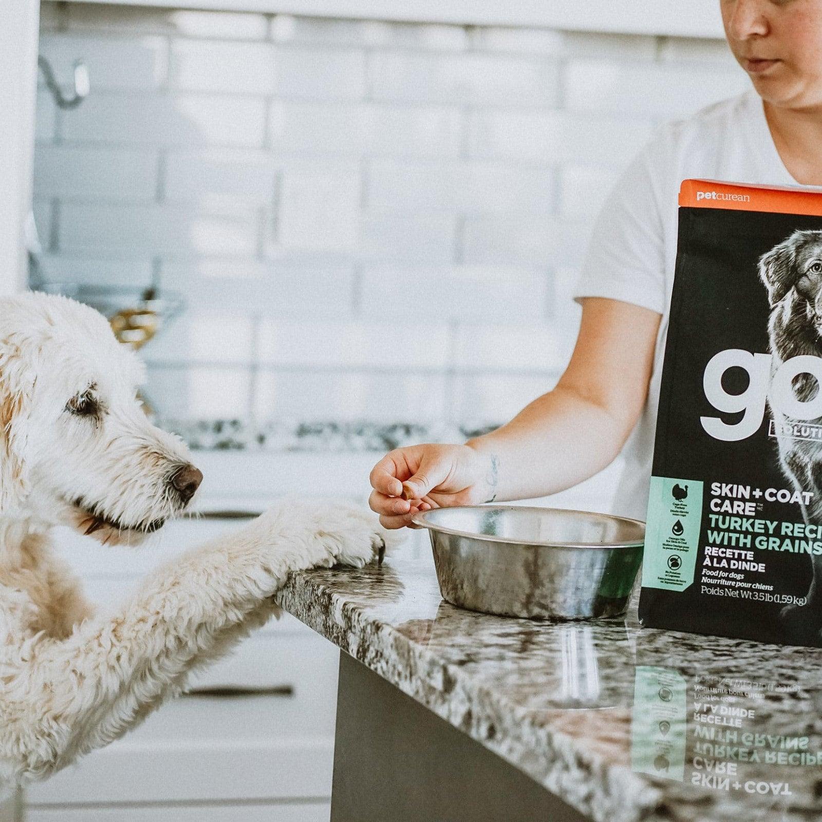 Go! Skin + Coat Care Turkey Recipe With Grains for dogs - Image 11