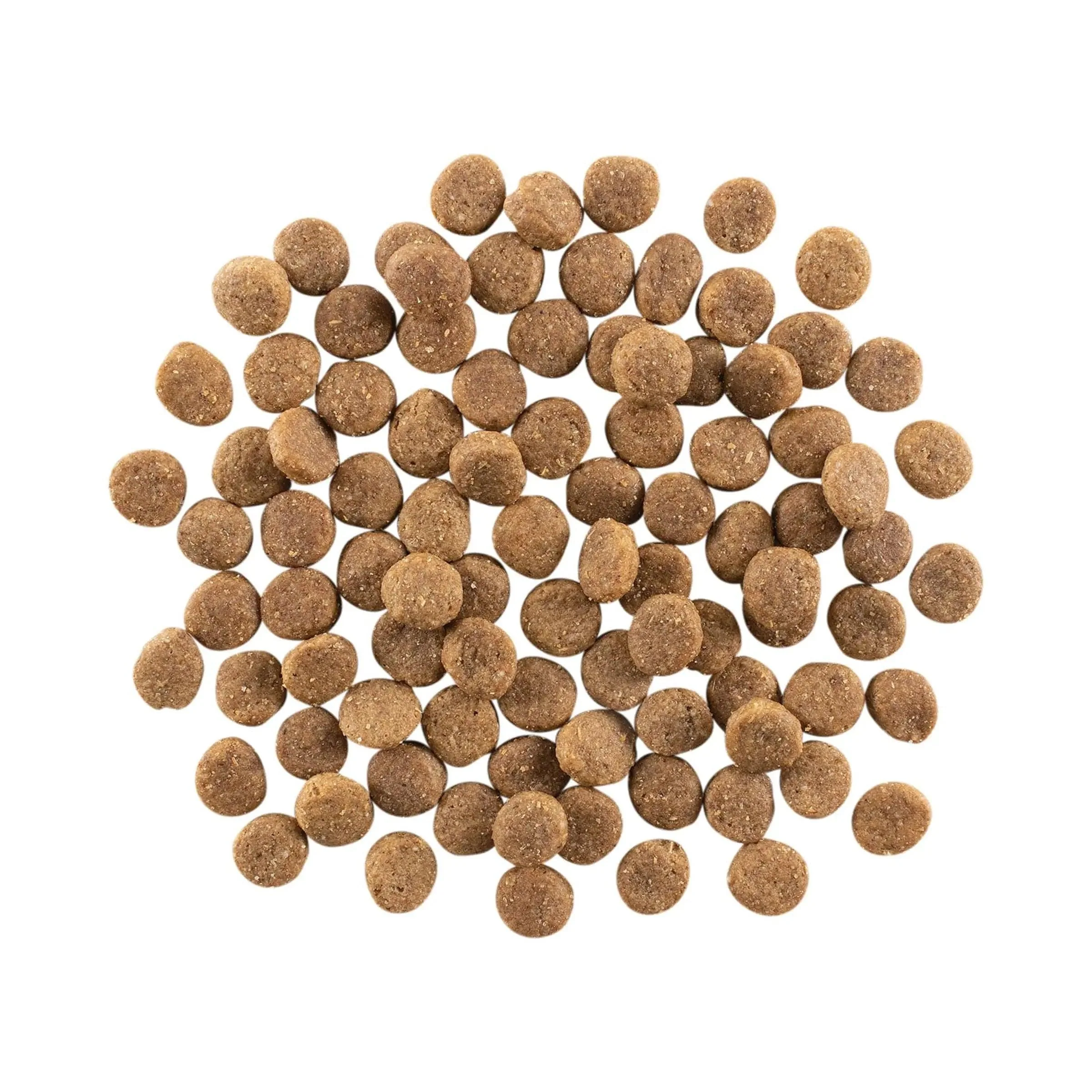 Go! Weight Management + Joint Care Grain-Free Chicken Recipe for dogs - Image 3