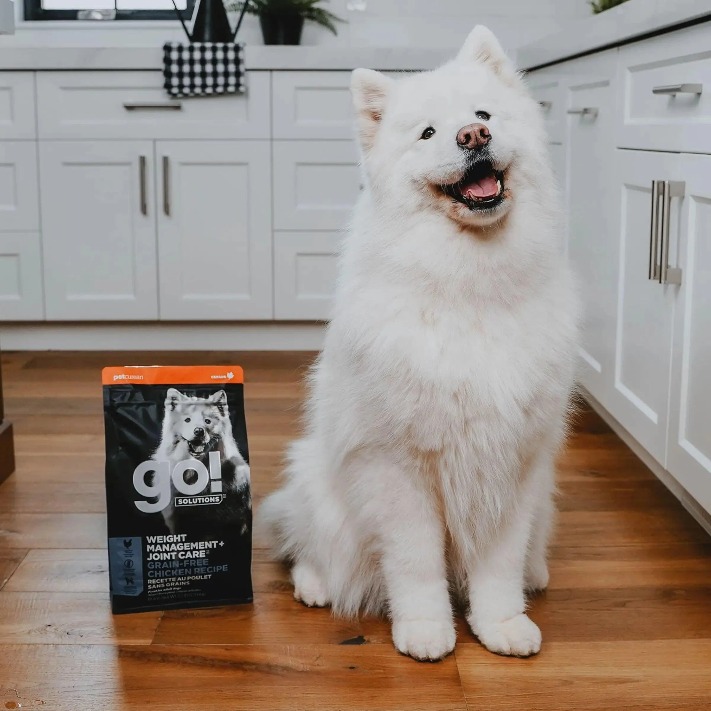 Go! Weight Management + Joint Care Grain-Free Chicken Recipe for dogs - Image 4