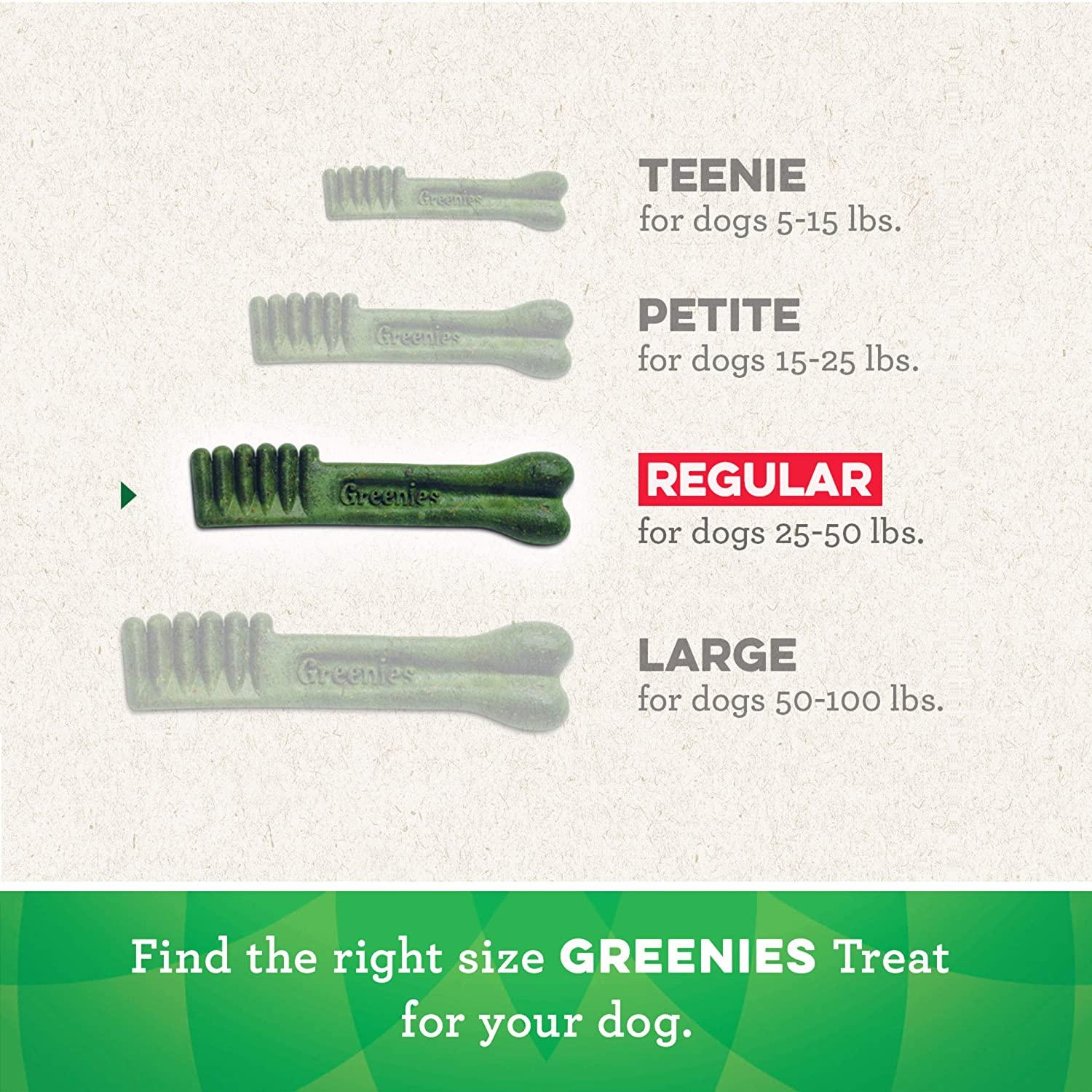 Greenies Dental Treat Original Regular - Image 9
