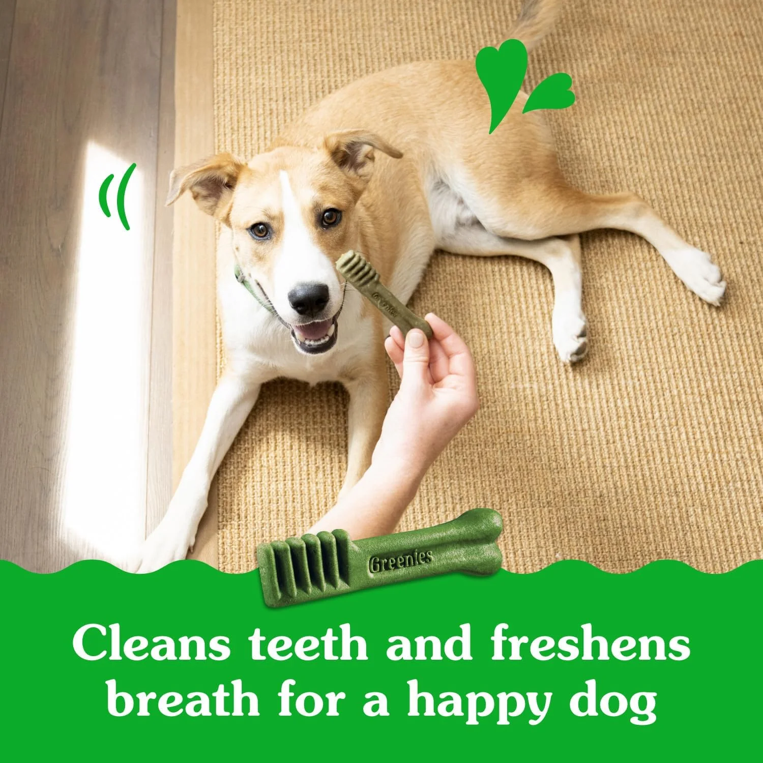 Greenies Puppy Dental Dog Treats - Image 3