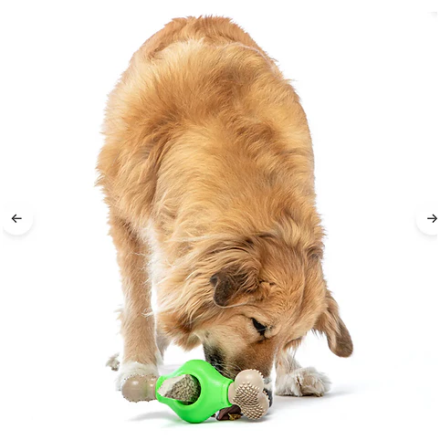 Guru Dog Adjust-A-Chew - Image 5