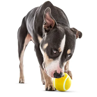 Guru Dog Tennis Treat Ball - Image 4