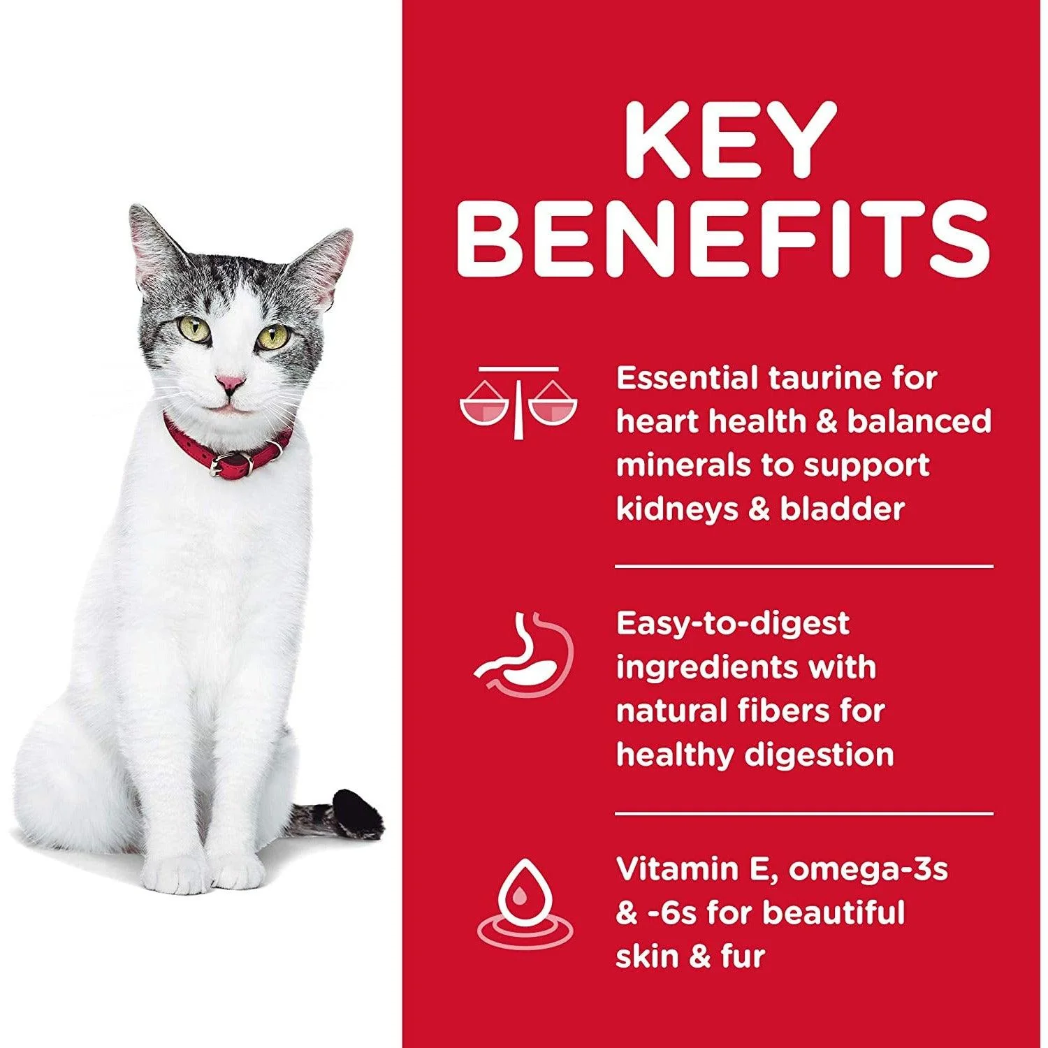 Hill's Science Diet Adult 11+ Chicken Recipe cat food - Image 5