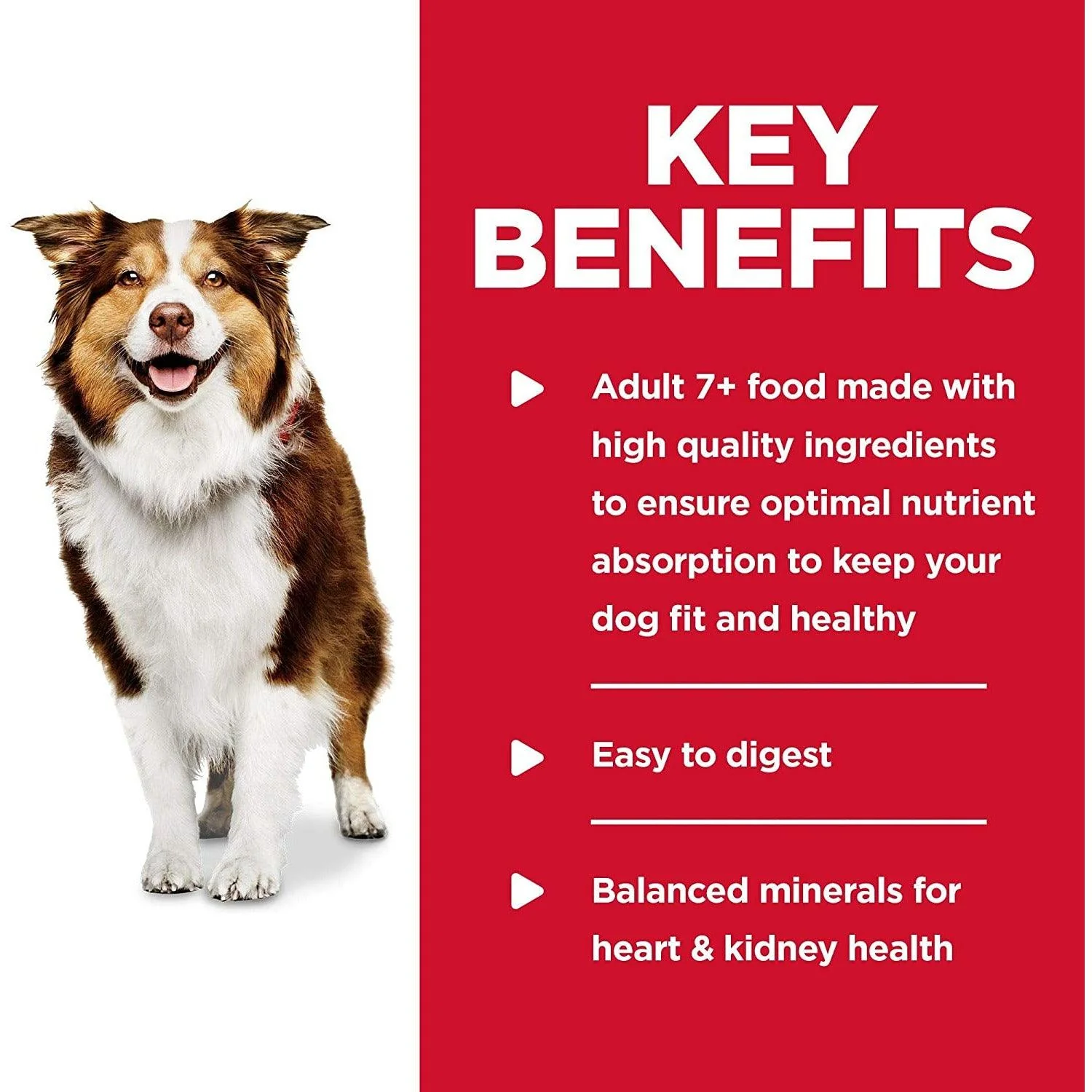 Hill's Science Diet Adult 7+ Beef & Barley Entrée dog food - Image 4