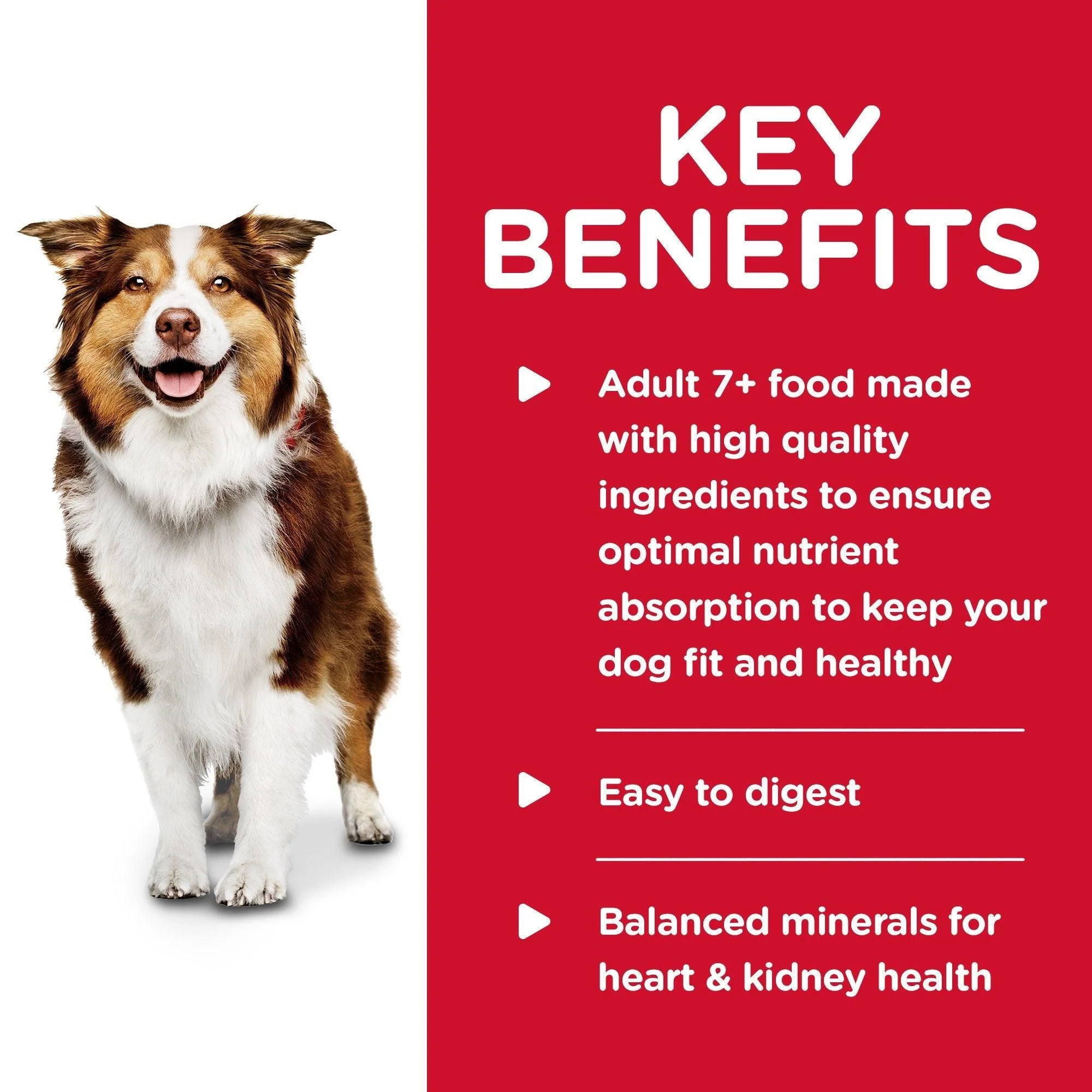 Hill's Science Diet Adult 7+ Chicken & Barley Canned Dog Food - Image 6