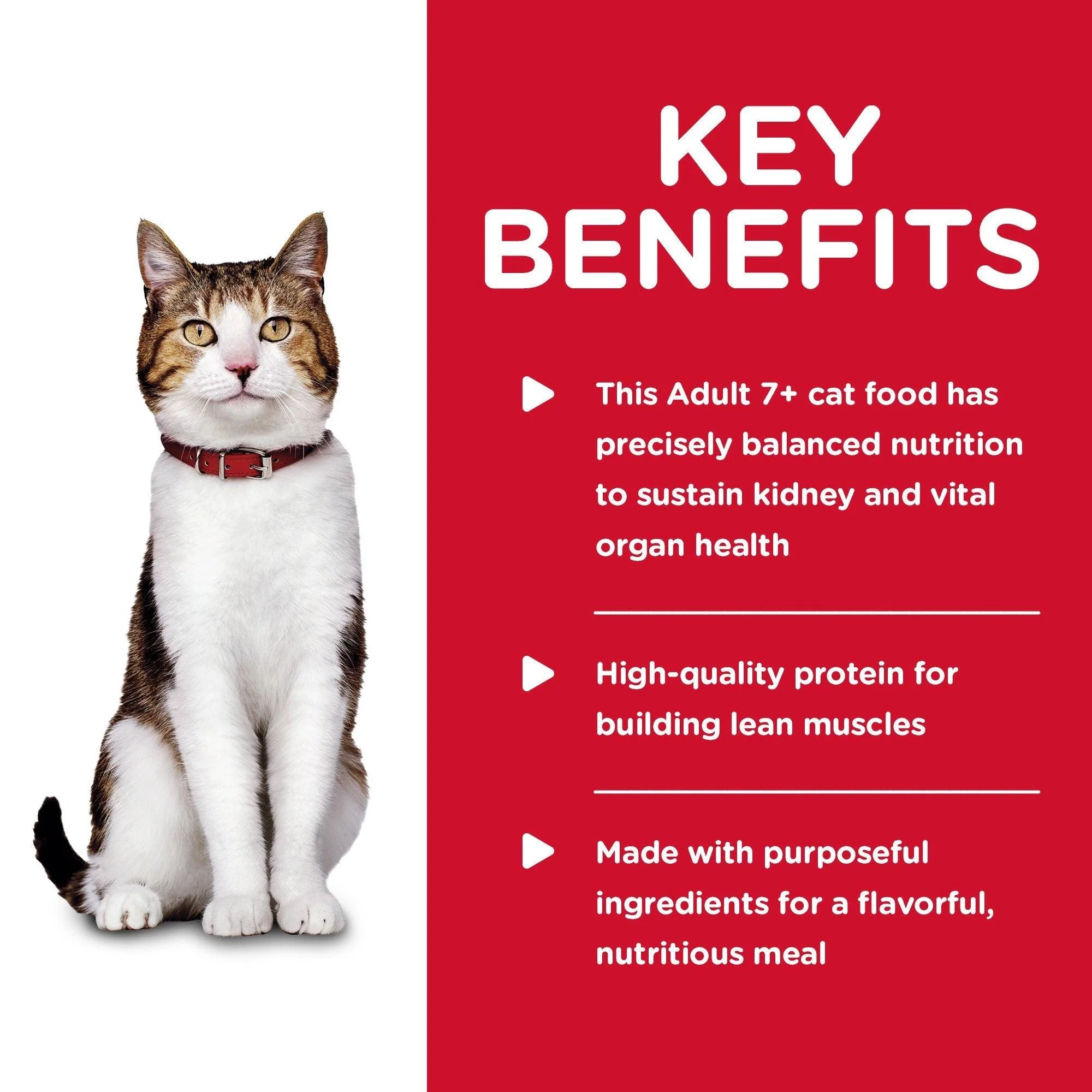 Hill's Science Diet Adult 7+ Savory Chicken Canned Cat Food - Image 6