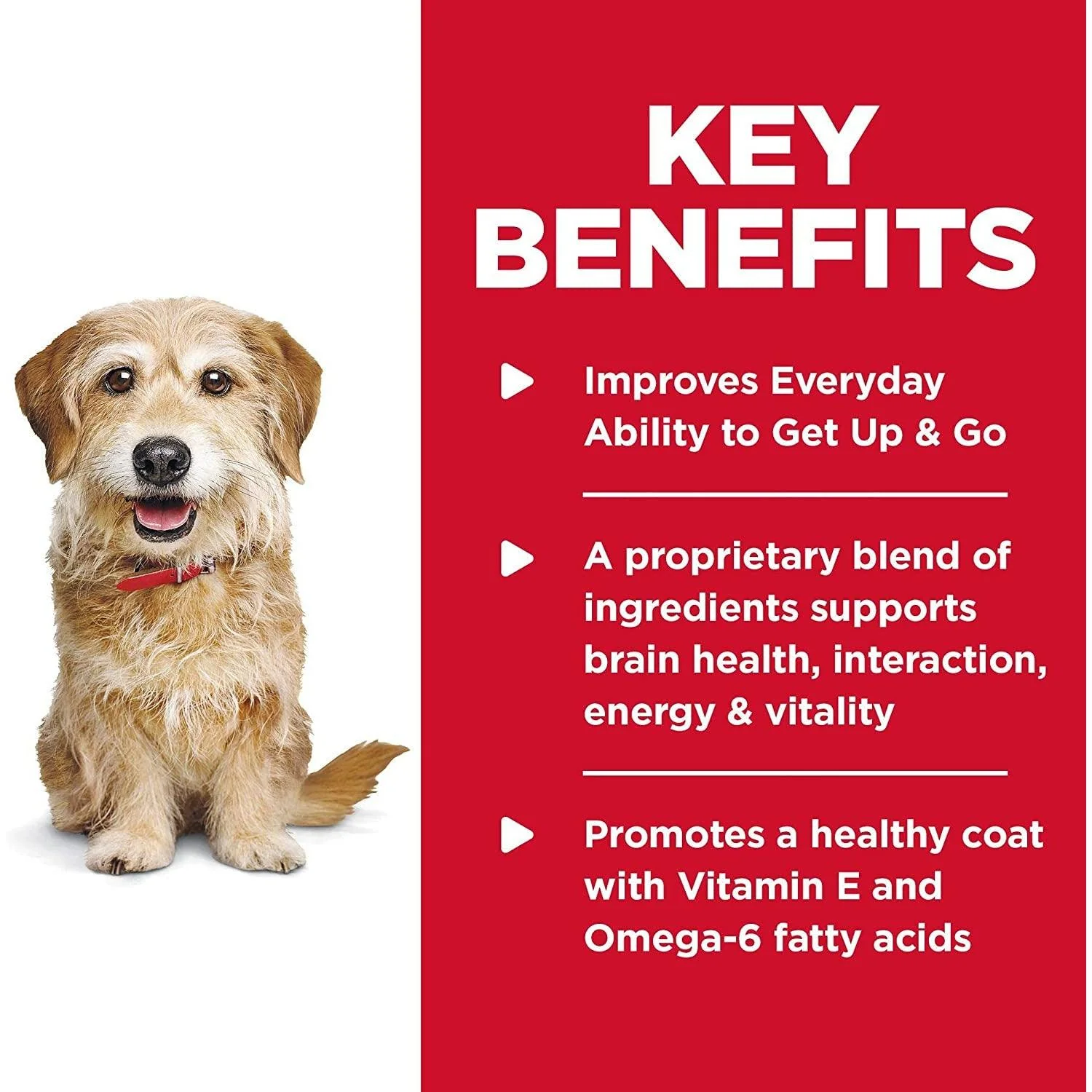 Hill's Science Diet Adult 7+ Senior Vitality Small & Mini Dry Dog Food - Image 5