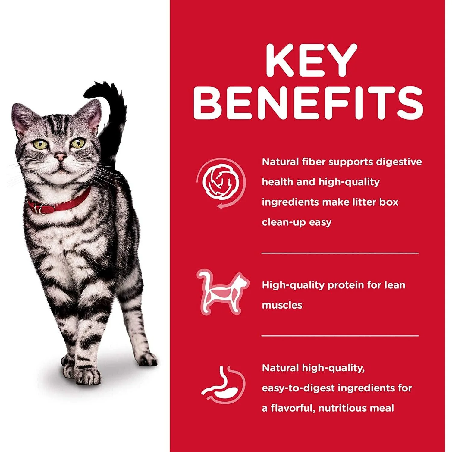 Hill's Science Diet Adult Indoor cat food - Image 4
