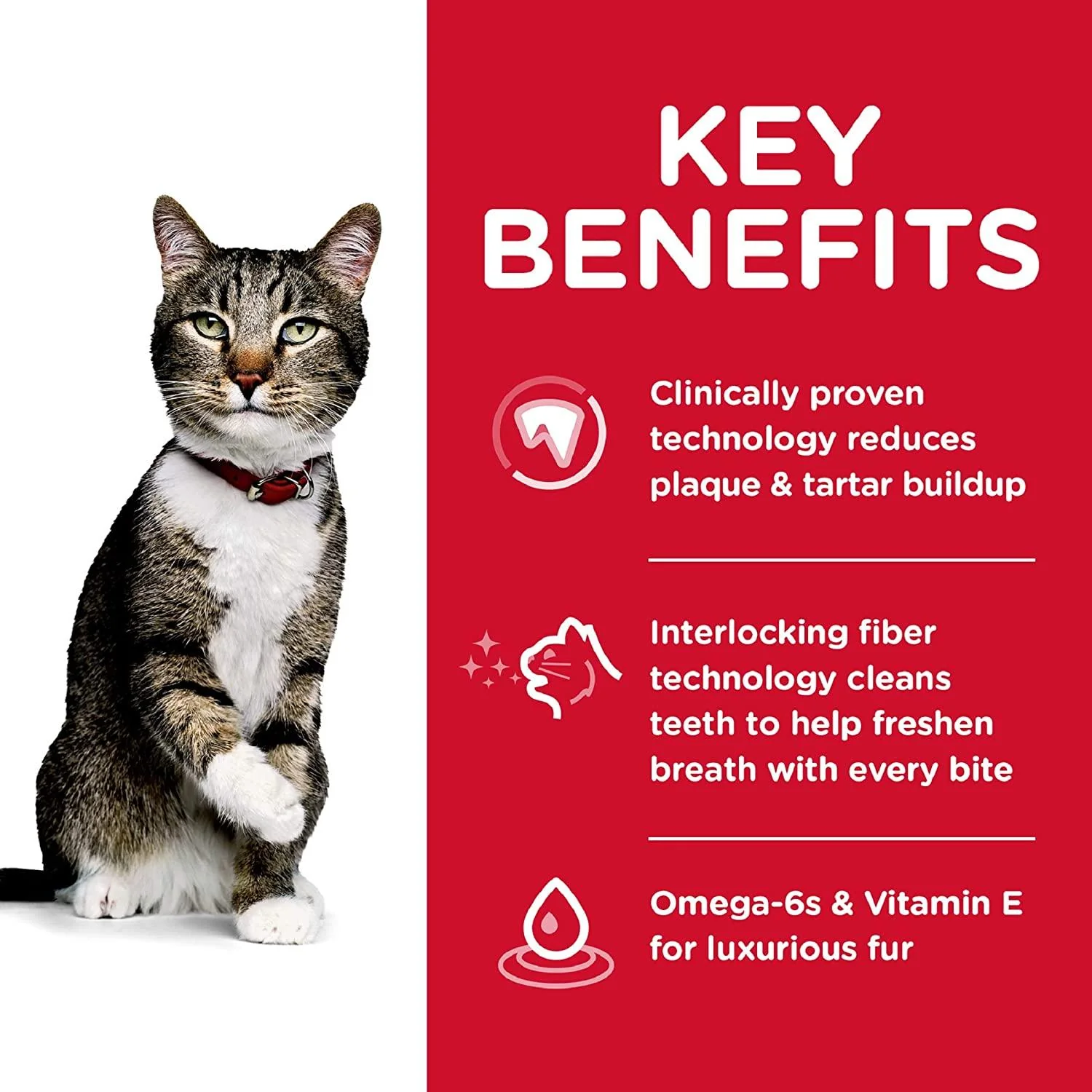 Hill's Science Diet Adult Oral Care cat food - Image 4