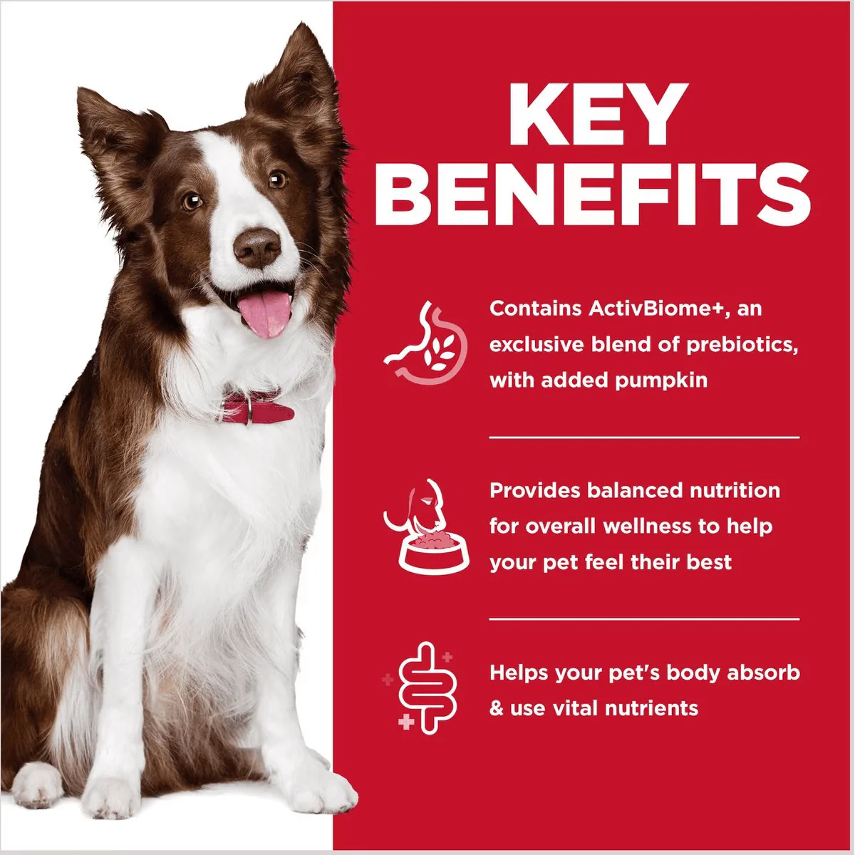 Hill's Science Diet Adult Perfect Digestion Chicken, Vegetable & Rice Stew Canned Dog Food - Image 3