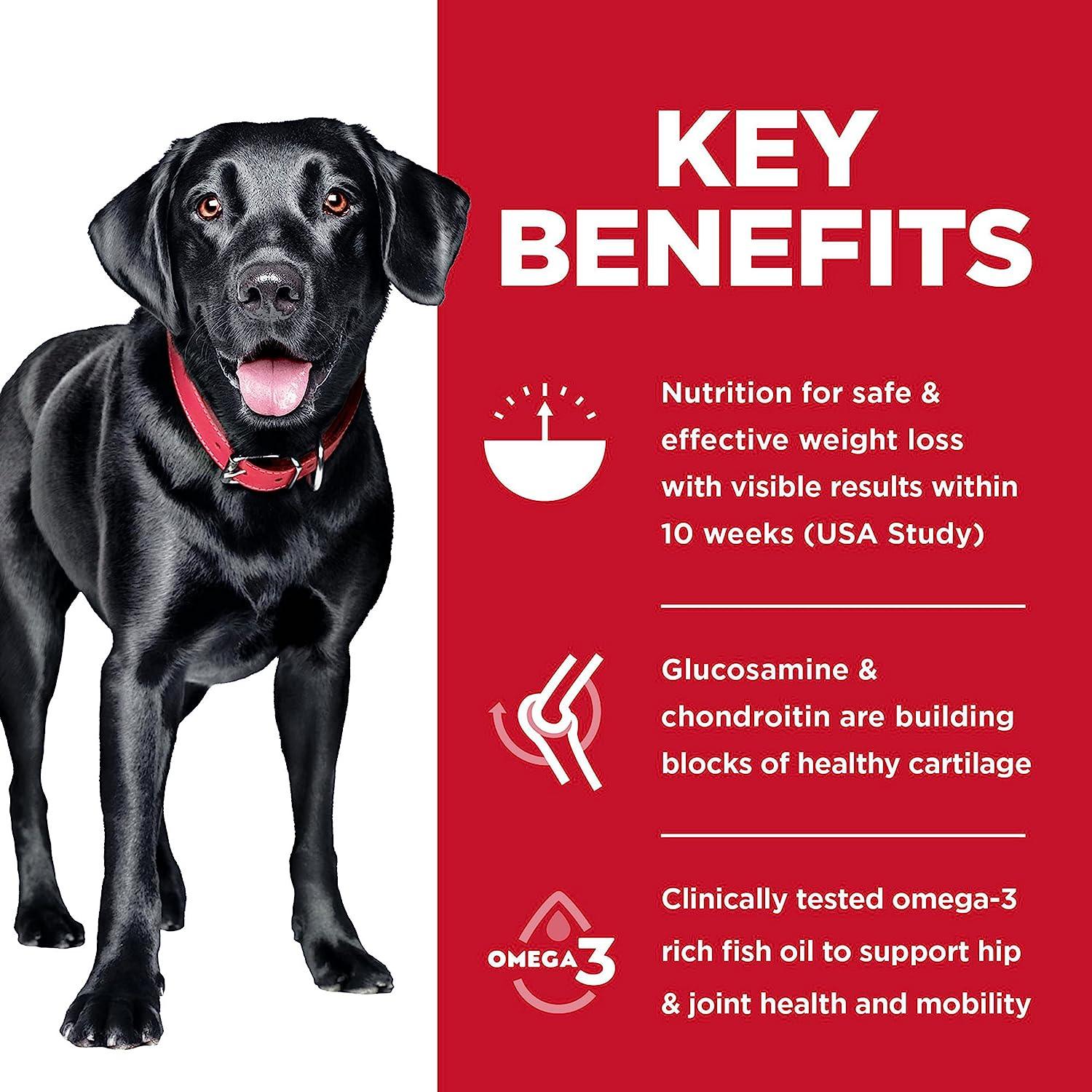 Hill's Science Diet Adult Perfect Weight & Joint Support Large Breed Dry Dog Food Chicken Recipe - Image 5