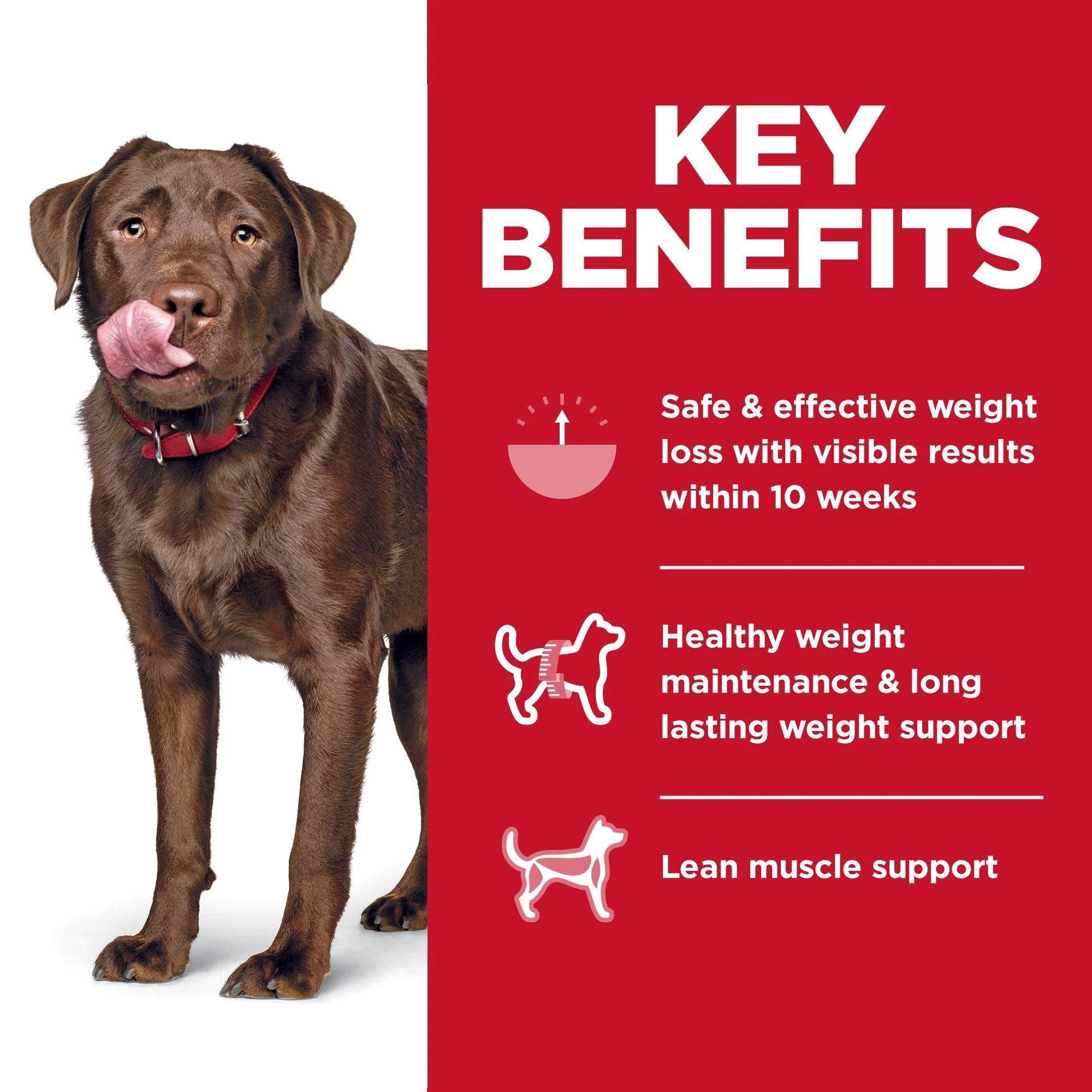 Hill's Science Diet Adult Perfect Weight Large Breed Dry Dog Food, Chicken Recipe - Image 5