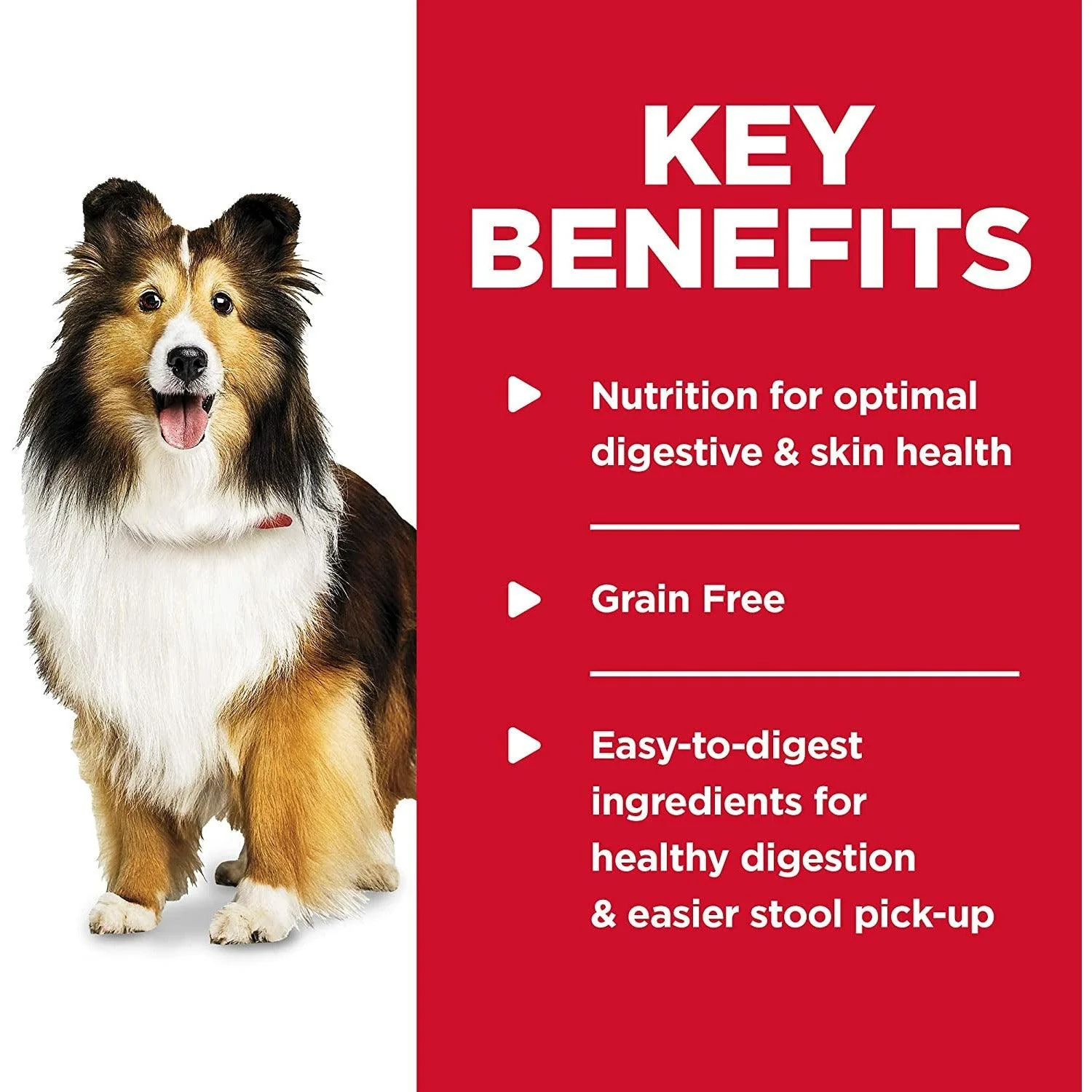 Hill's Science Diet Adult Sensitive Stomach & Skin Chicken & Vegetable Entrée Canned Dog Food - Image 5