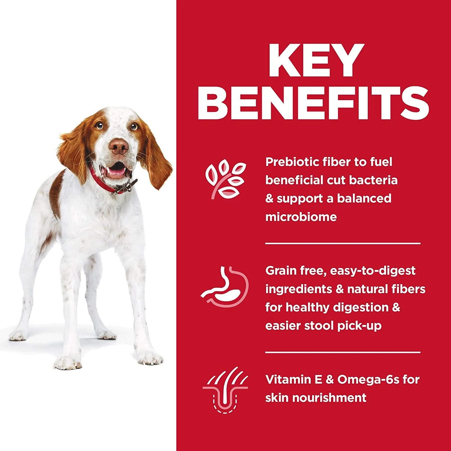 Hill's Science Diet Adult Sensitive Stomach & Skin Grain Free dog food - Image 4