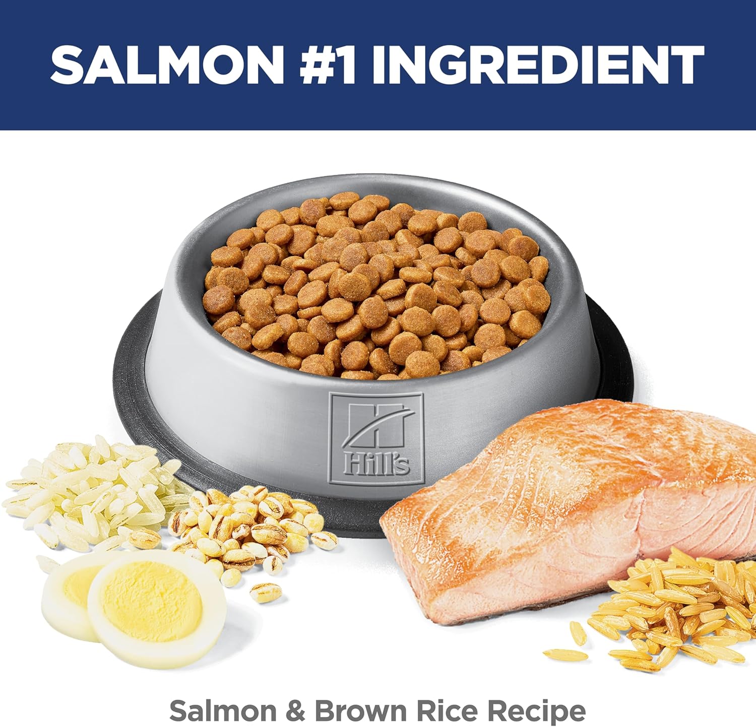 Hill's Science Diet Adult Sensitive Stomach & Skin Salmon Recipe Dry Cat Food - Image 5