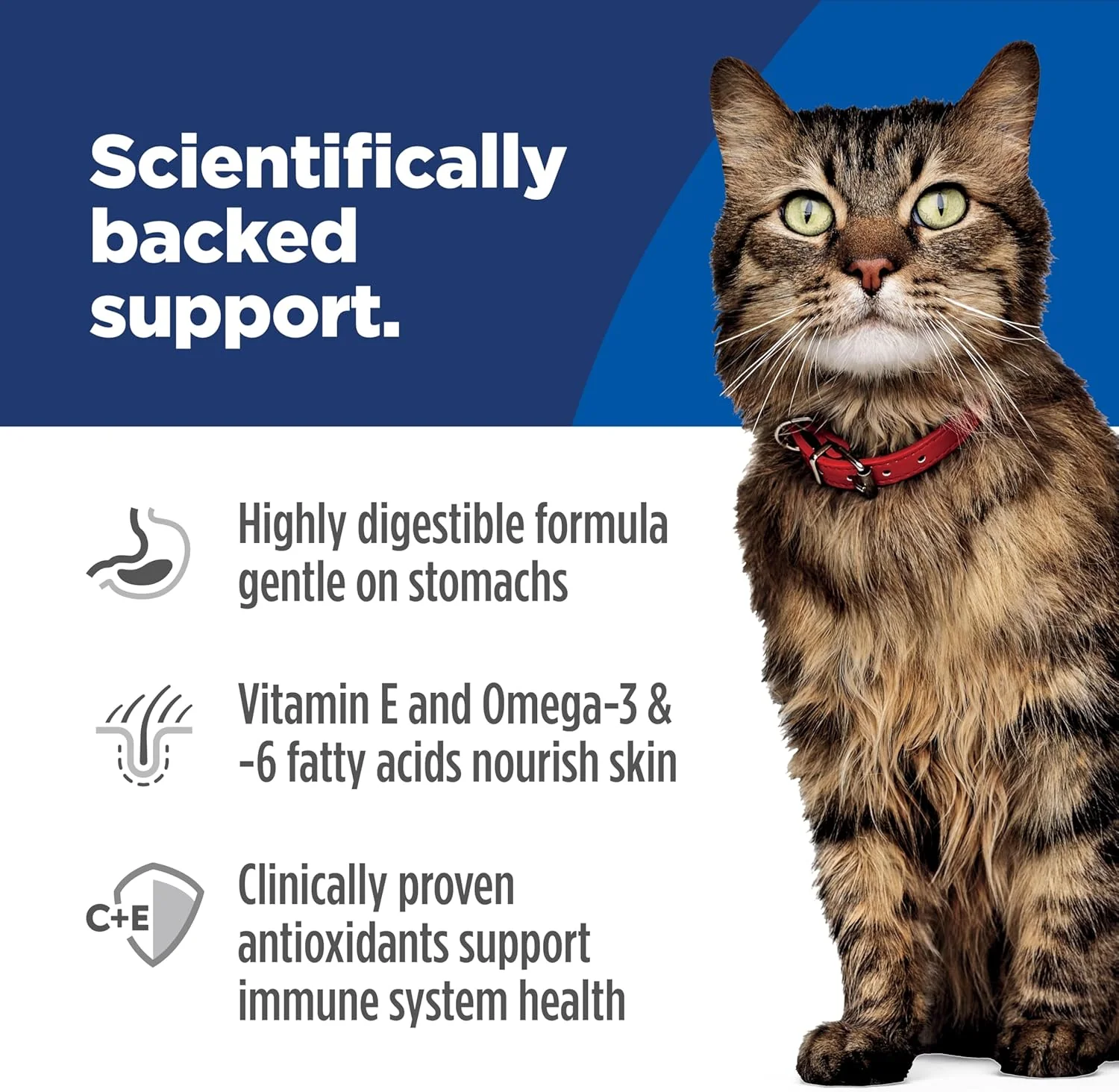 Hill's Science Diet Adult Sensitive Stomach & Skin Salmon Recipe Dry Cat Food - Image 6