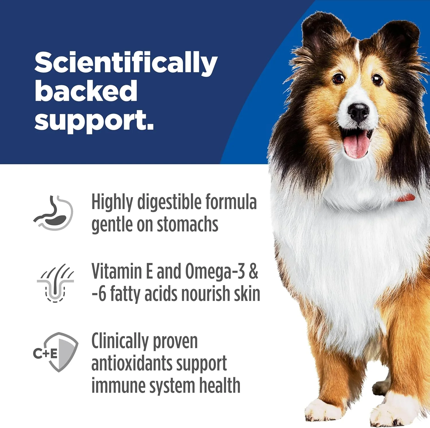Hill's Science Diet Adult Sensitive Stomach & Skin Salmon Recipe Dry Dog Food - Image 6