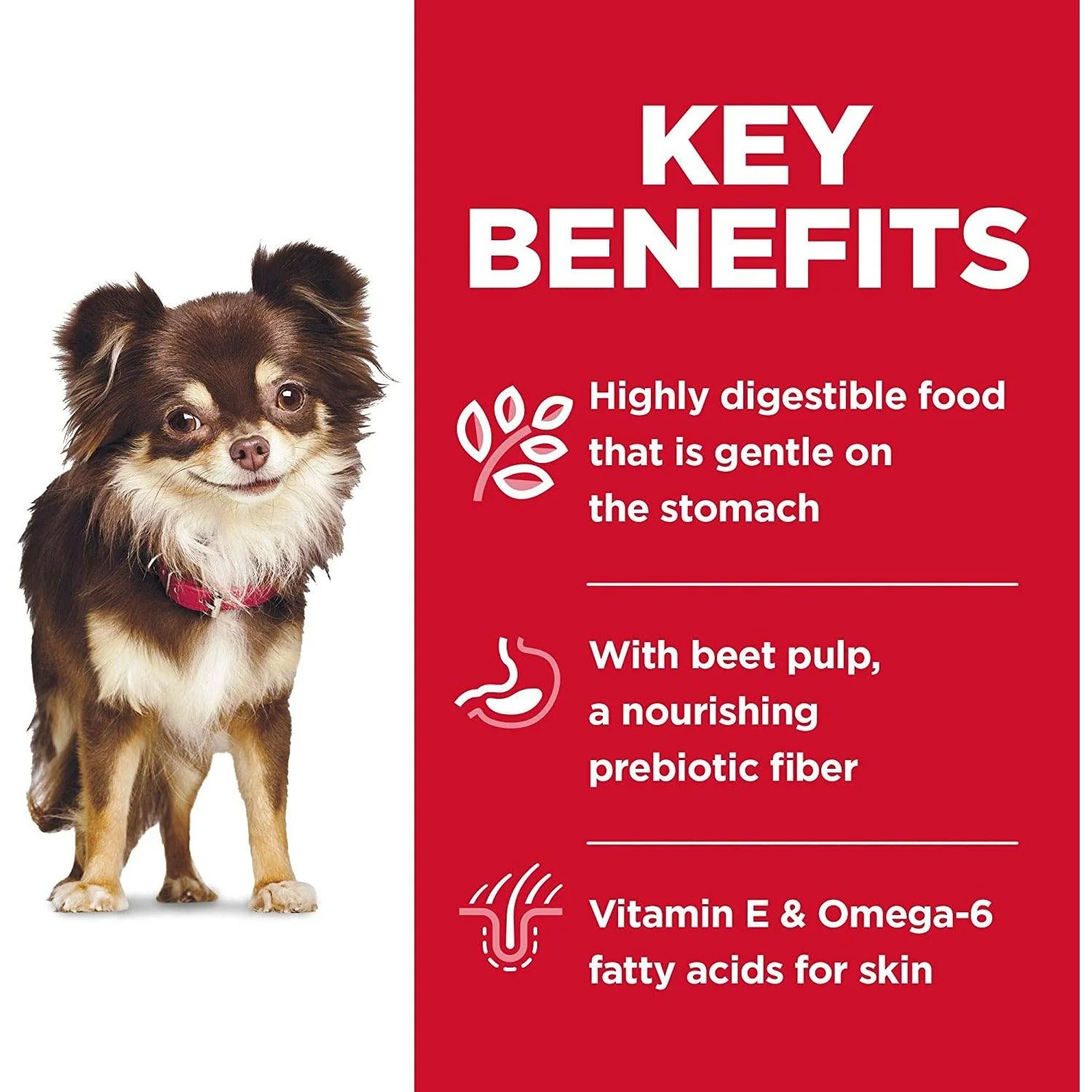 Hill's Science Diet Adult Sensitive Stomach & Skin Small & Mini Chicken Recipe Dog Food - Image 5