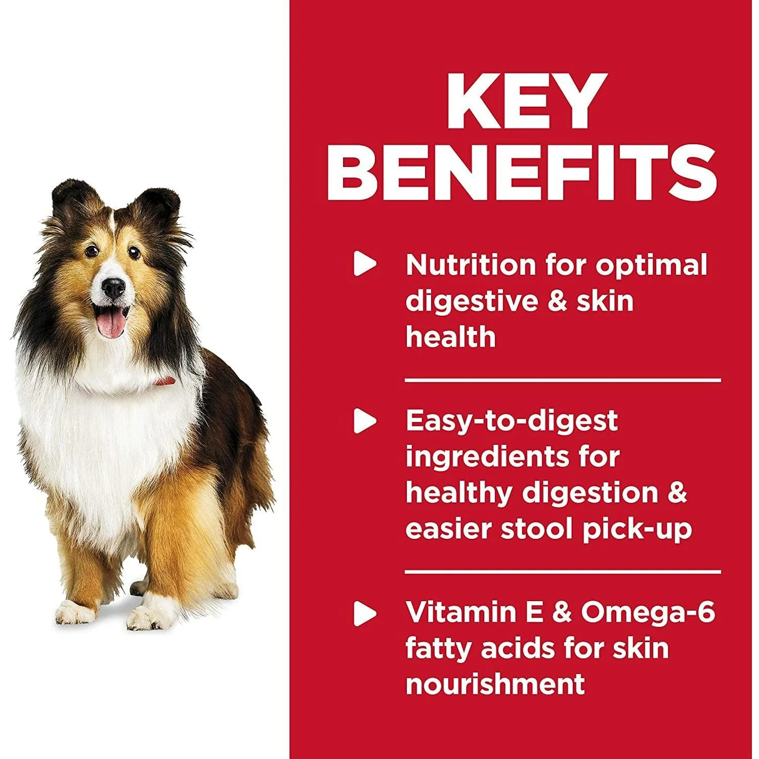 Hill's Science Diet Adult Sensitive Stomach & Skin Tender Turkey & Rice Stew dog food - Image 7