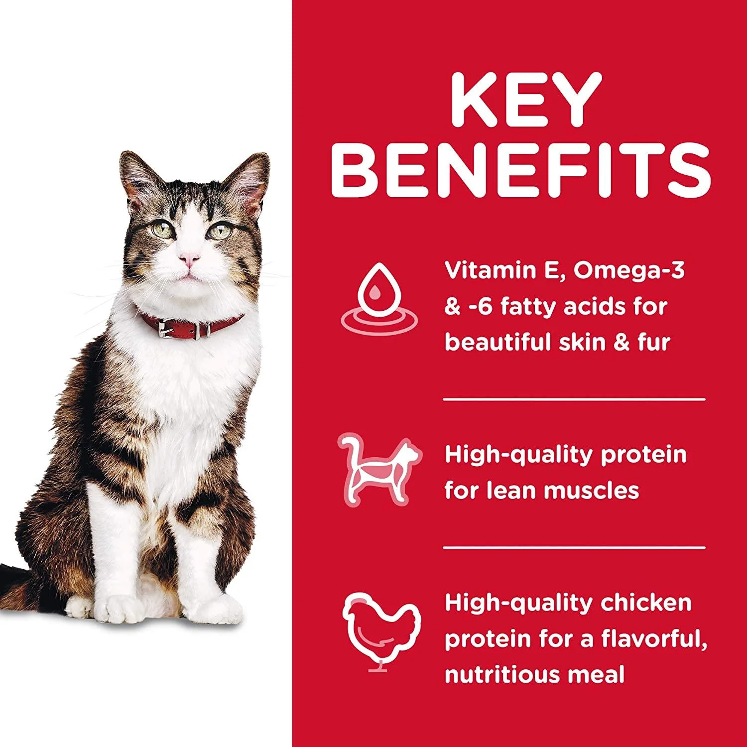 Hill's Science Diet Dry Cat Food, Adult, Hairball Control, Chicken Recipe - Image 5
