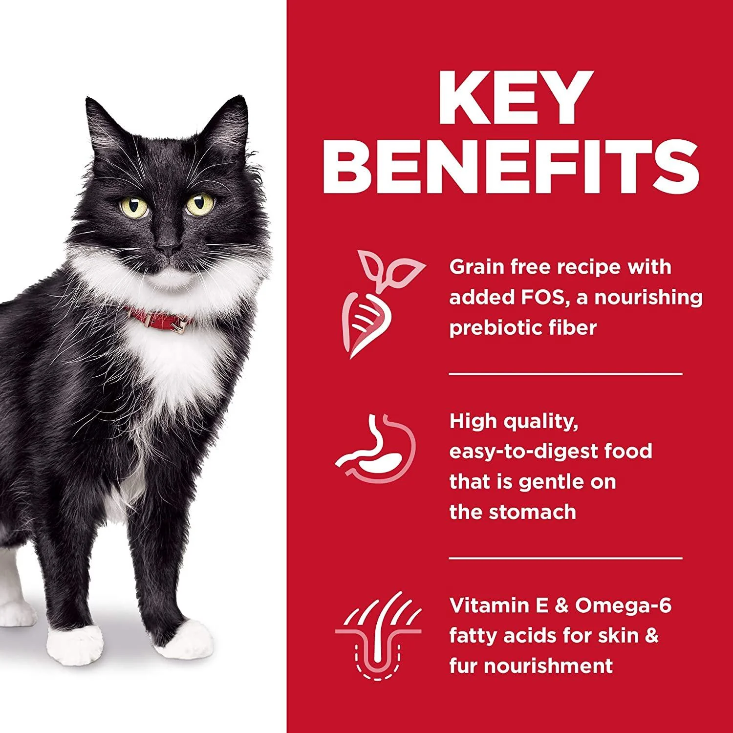 Hill's Science Diet, Dry Cat Food, Adult, Sensitive Stomach & Skin, Grain Free Salmon Recipe - Image 5