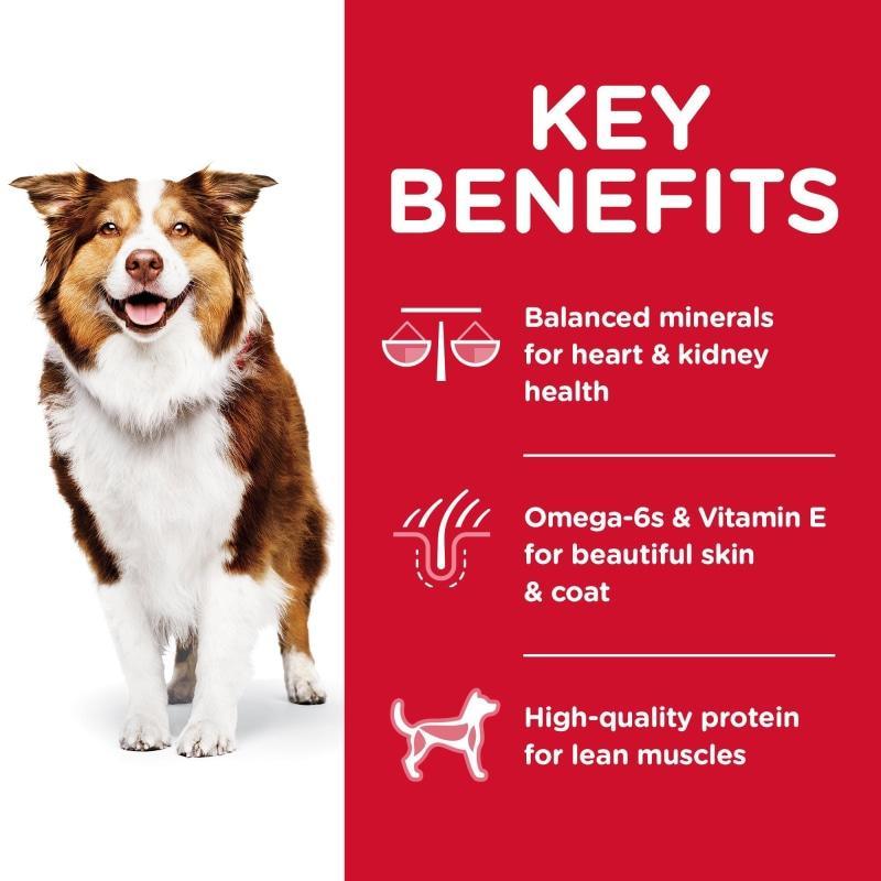 Hill's Science Diet Dry Dog Food, Adult 7+ for Senior Dogs, Chicken Meal, Barley & Brown Rice Recipe - Image 5